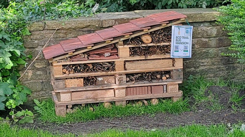 InsectHotel_close.jpg