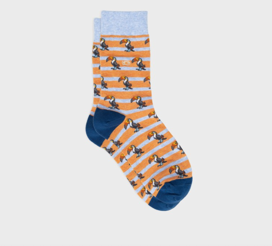 Capture d’écran 2026-01-17 à 11.42.45.png