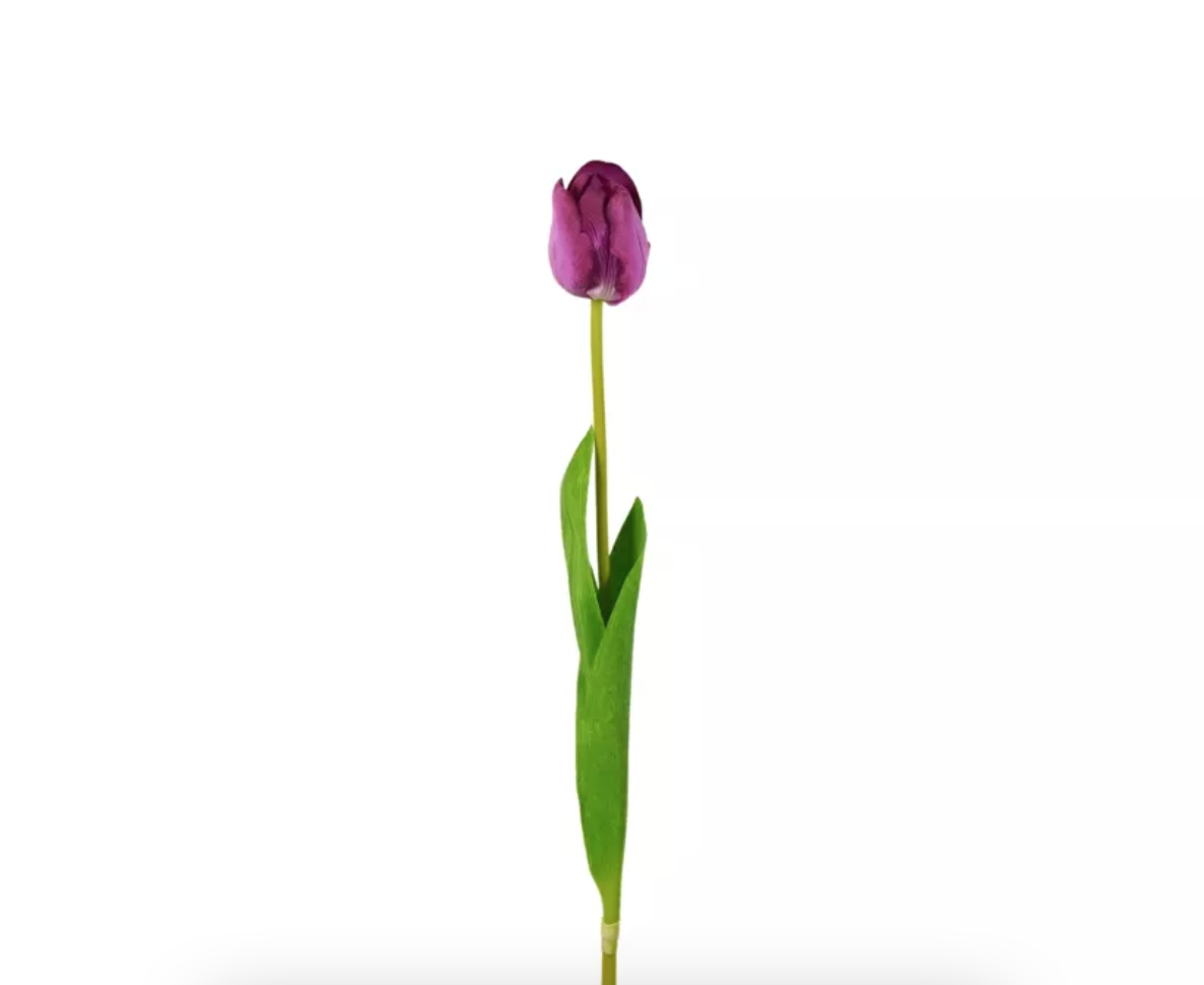 Capture d’écran 2026-01-23 à 11.43.14.png