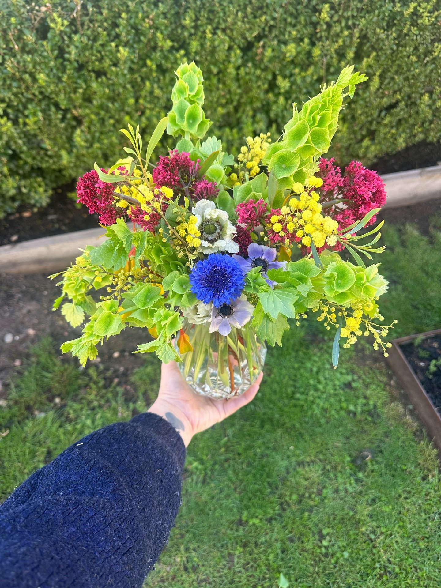 A little garden magic for @nira.castlemaine with @denariifarm Irish bells 🌿 so pretty and they smell amazing 💚