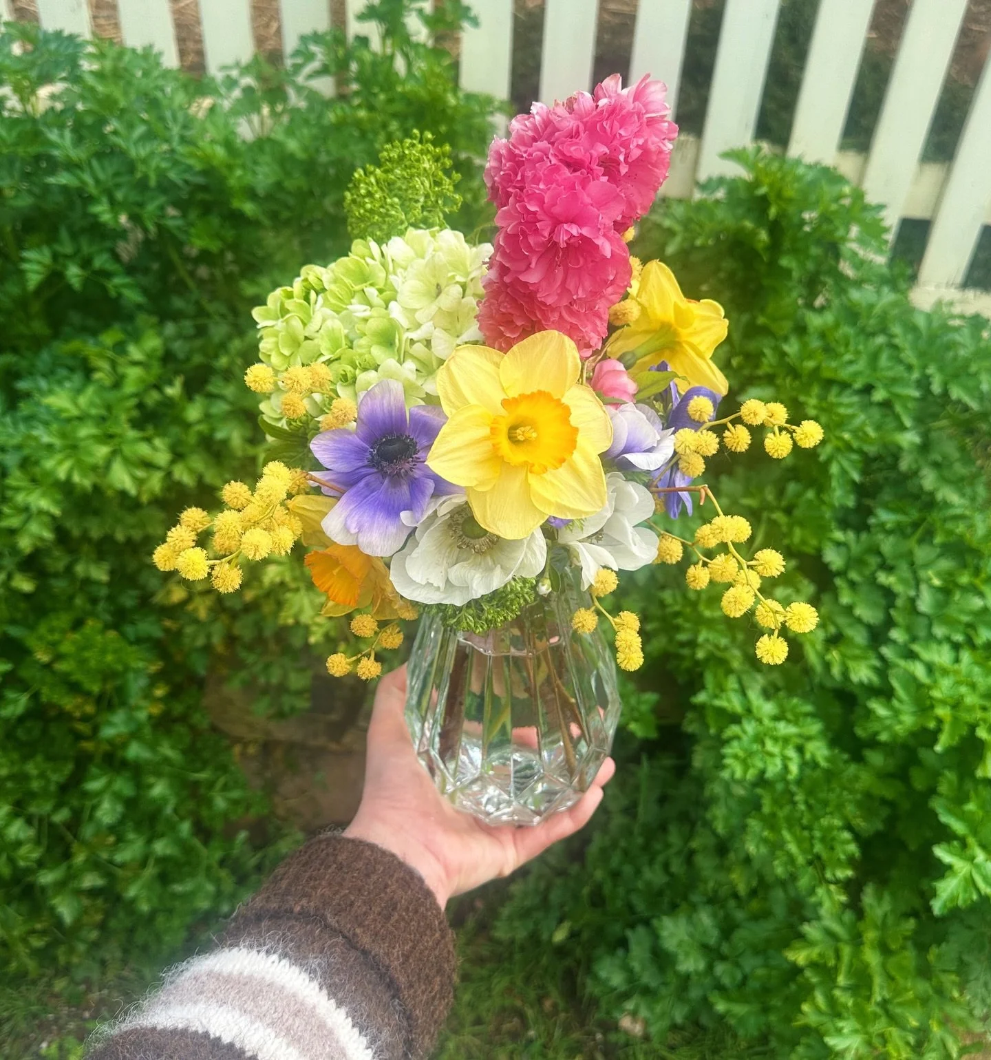 A little vase of sunshine from the garden for my friend&rsquo;s @nira.castlemaine 🌼🌺🪻