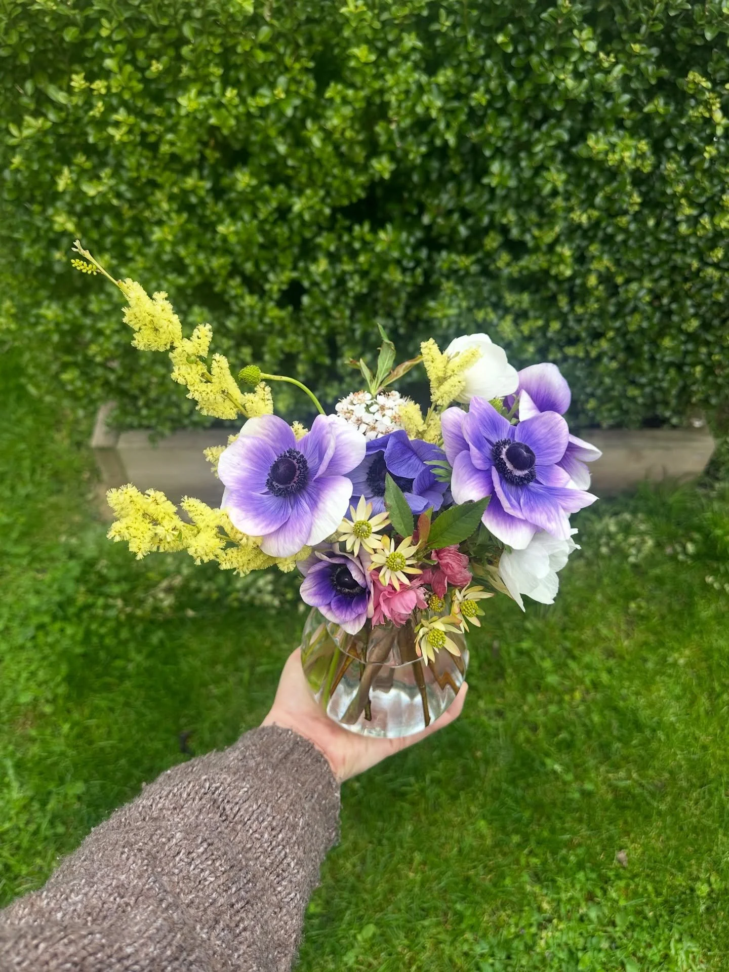 A little cutie bunch from my garden for @nira.castlemaine 🌸🌿🔆☕️