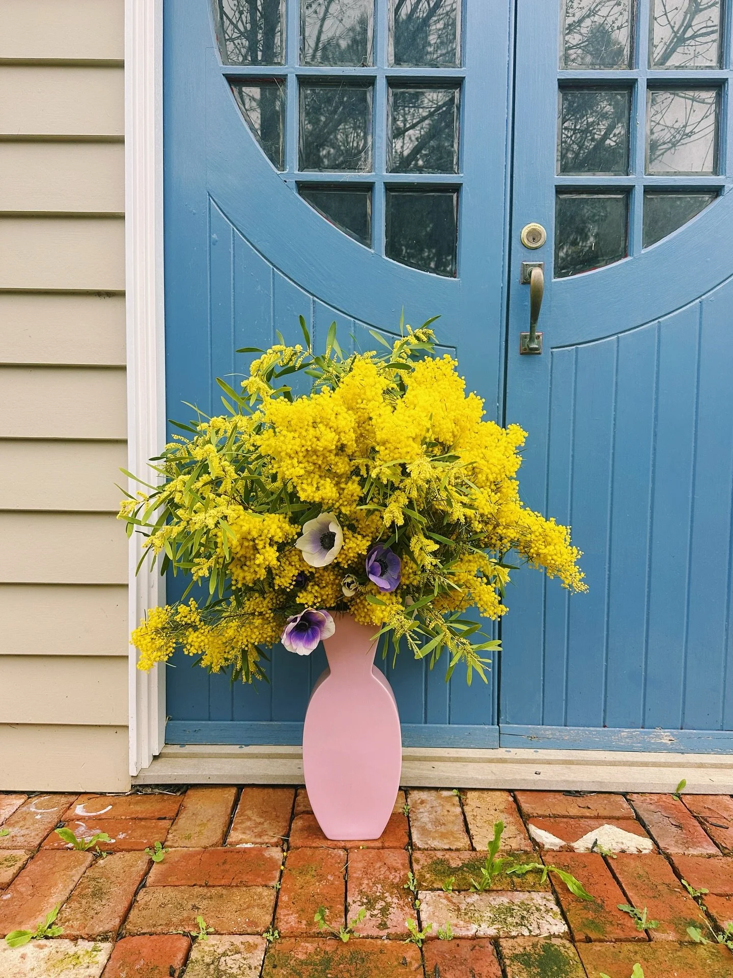 Put together a little sunshine with some wattle and anemones from the garden for a friend 🔆🌱💕
