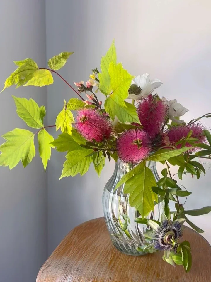 For Joe 🌺

@nira.castlemaine