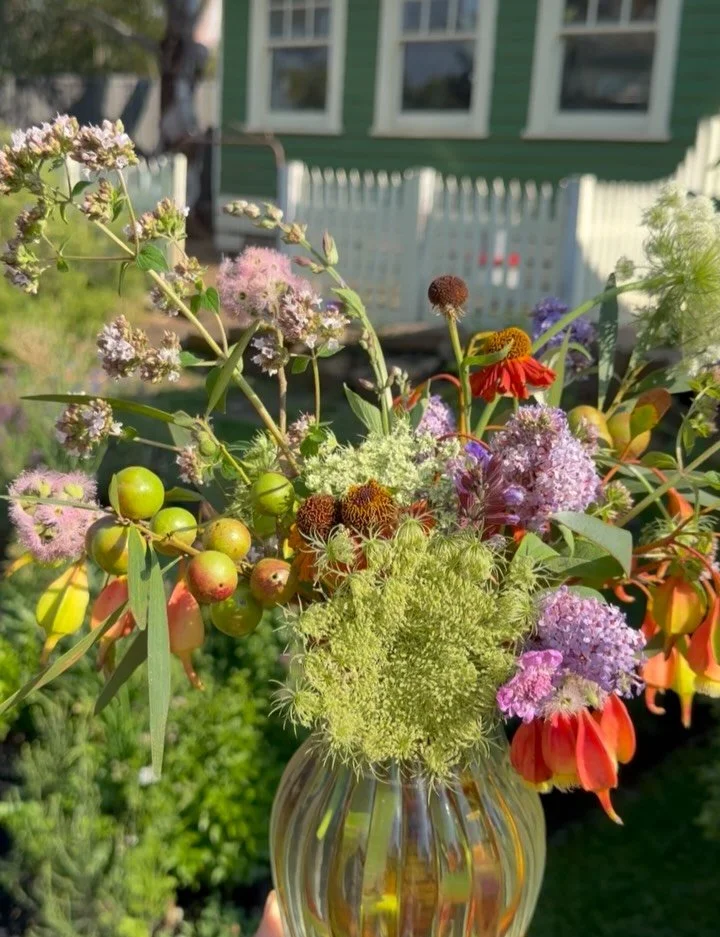 A jar of florals from the garden for Joe ☕️ 

Last slide features flower curious Brahma 🌱🌸🐓