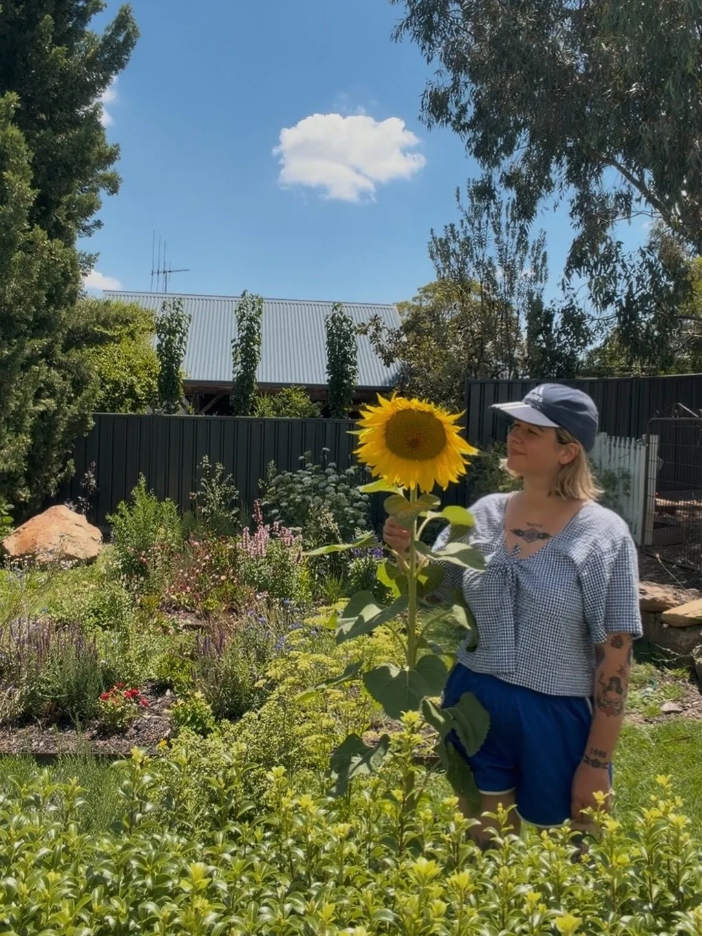 My first sunflower grown from seed. We&rsquo;re the same height 
🌻❤️