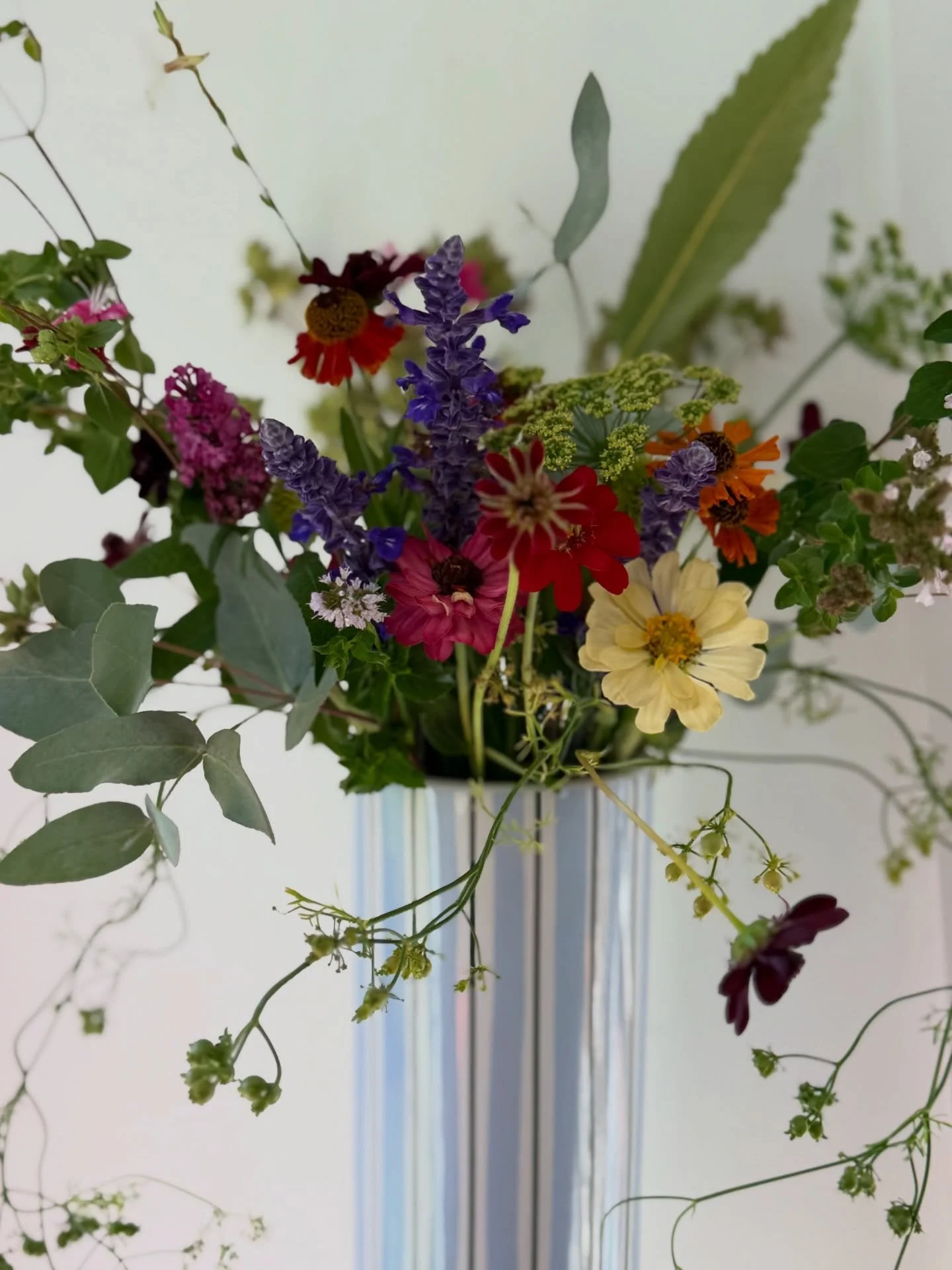 From garden to counter 🌱🌸 @nira.castlemaine