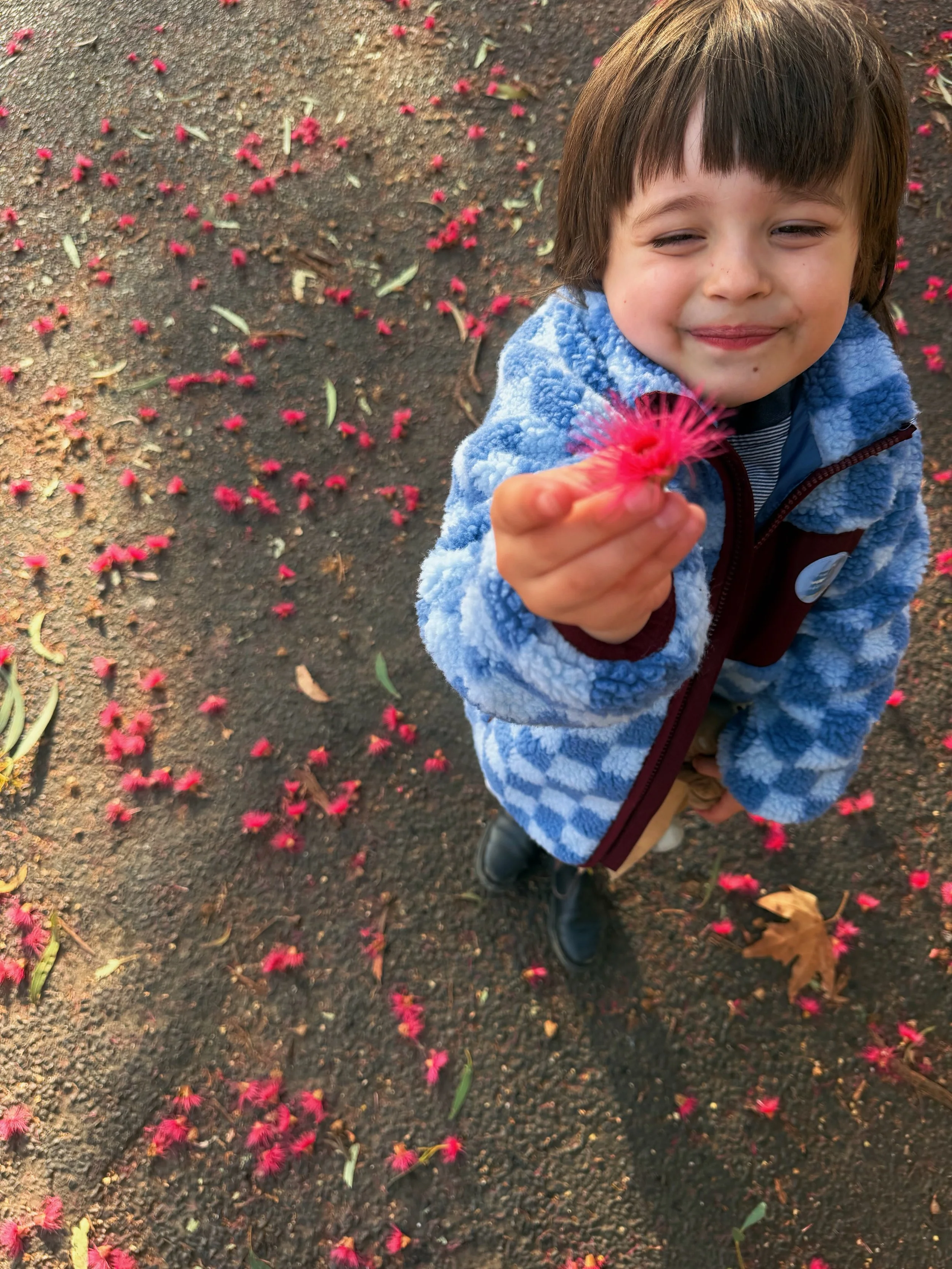 It&rsquo;s snowing pink gum 💕