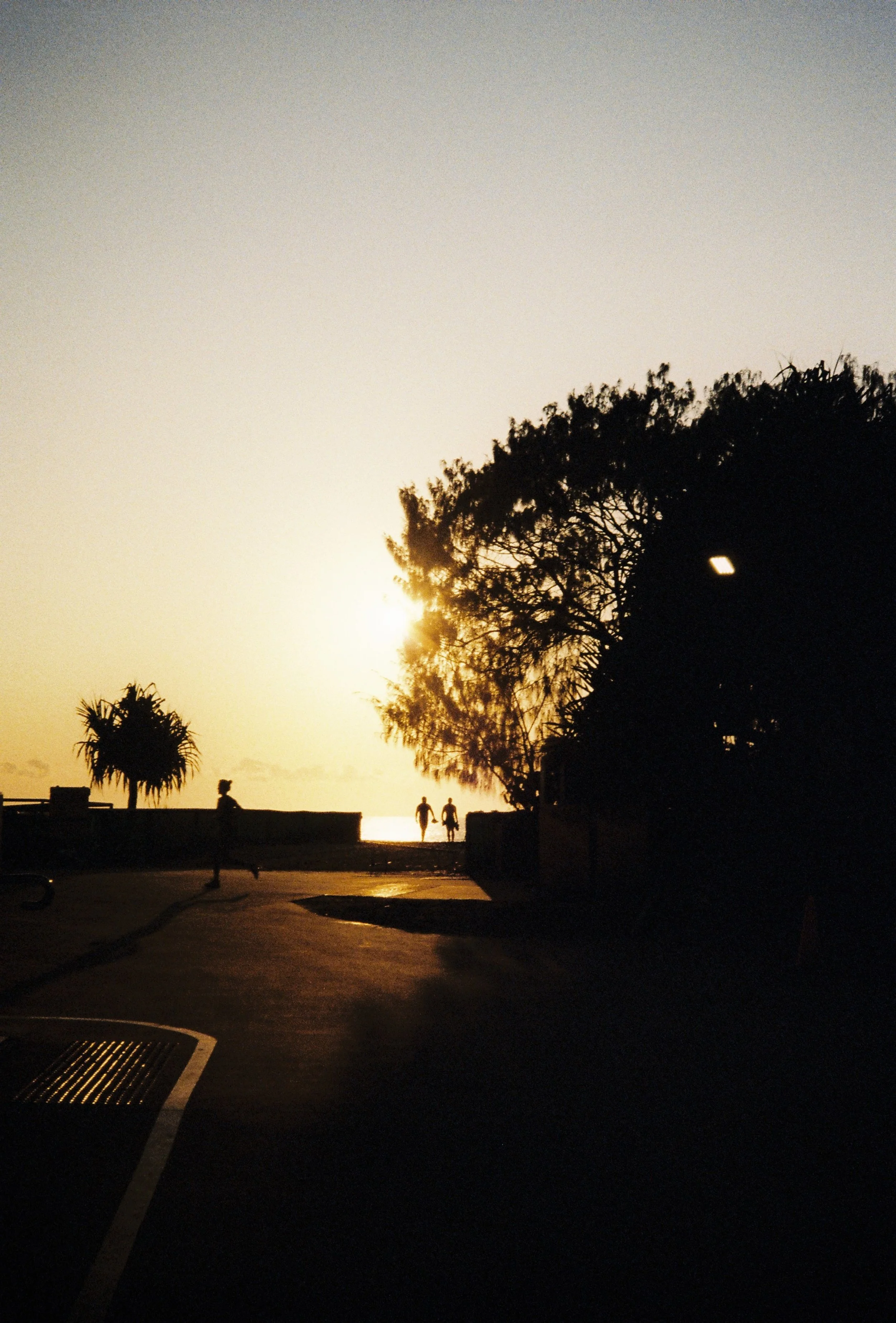 QLD000031.JPG