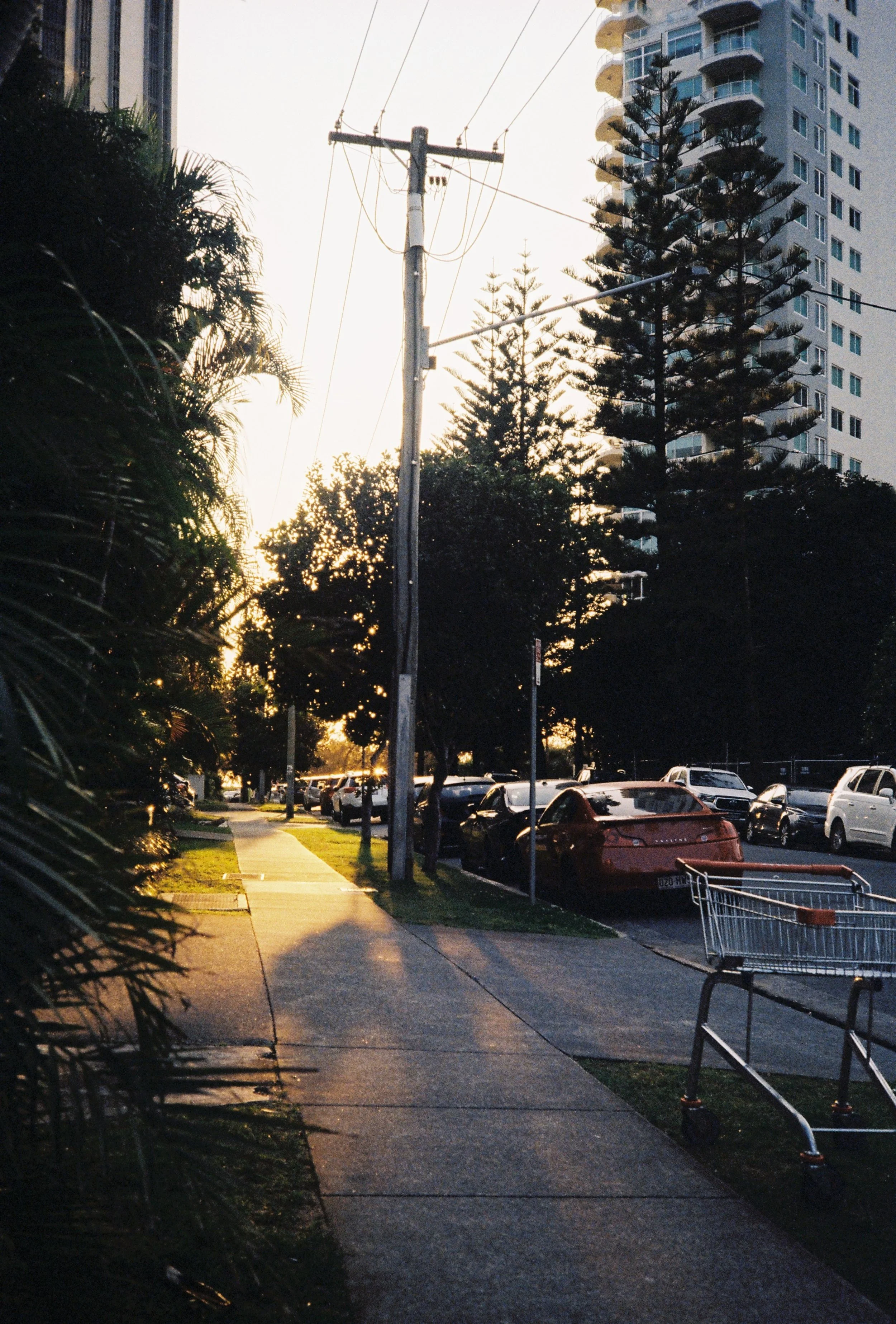 QLD000030.JPG