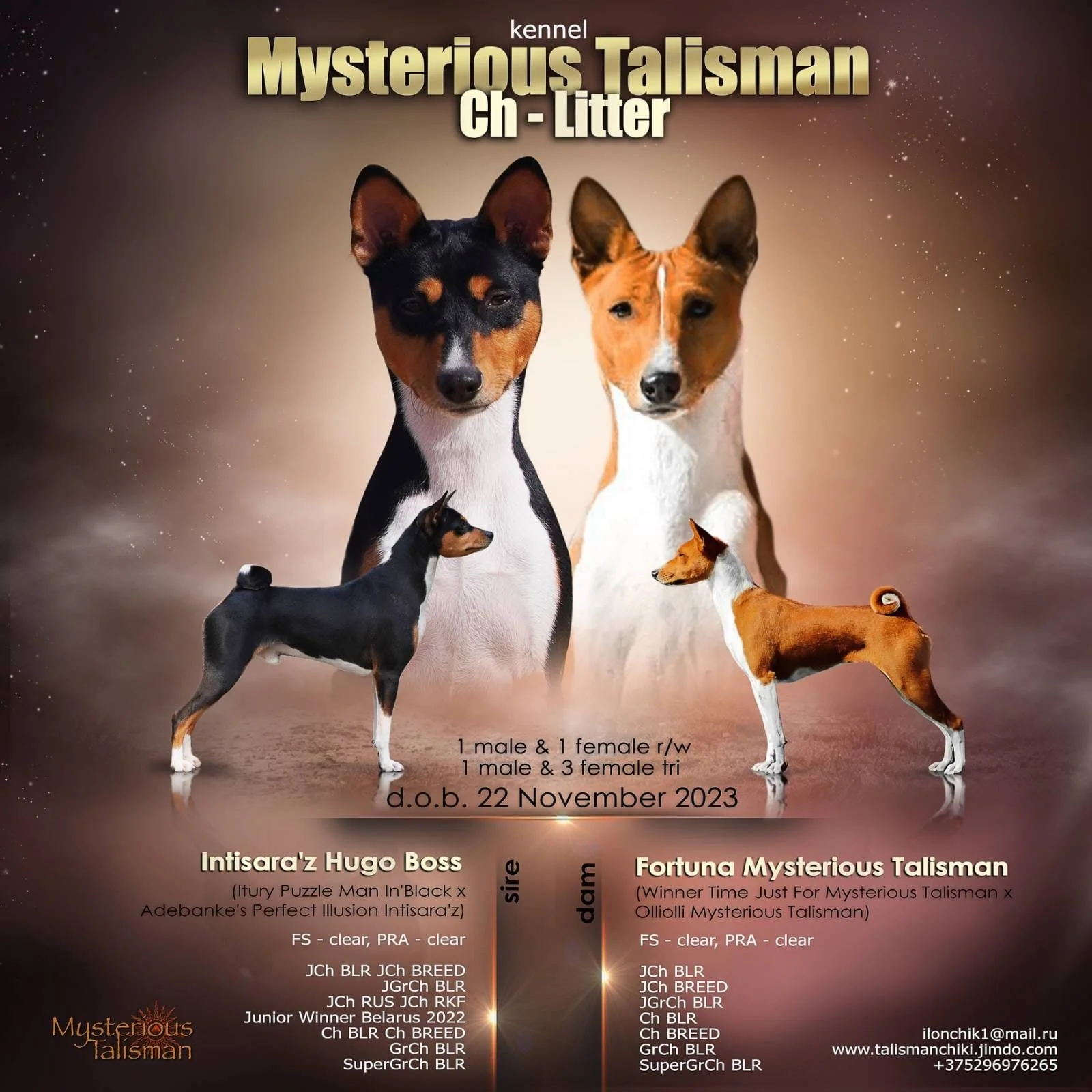 Tequila's Sire and Dam.jpg