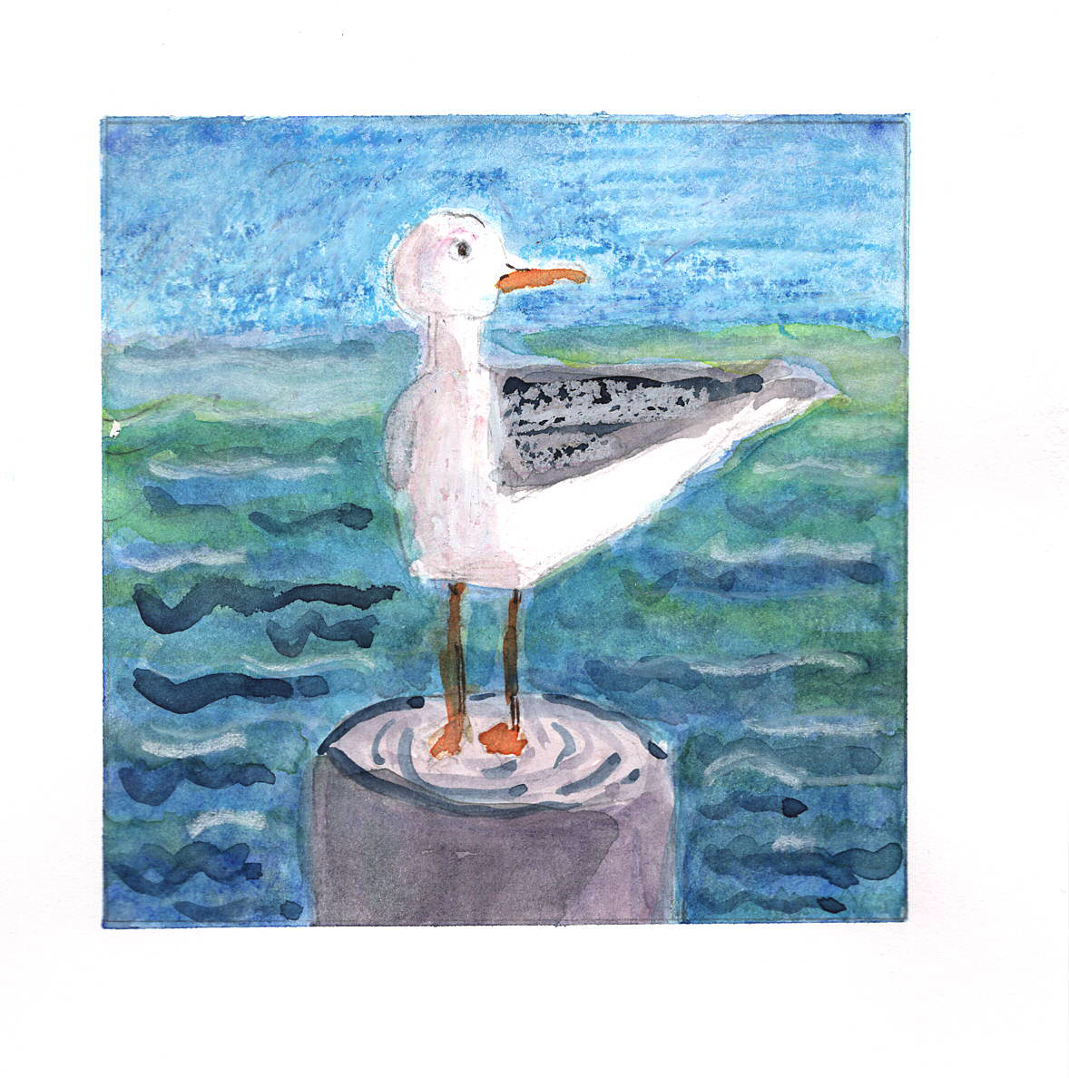 Solo Seagull