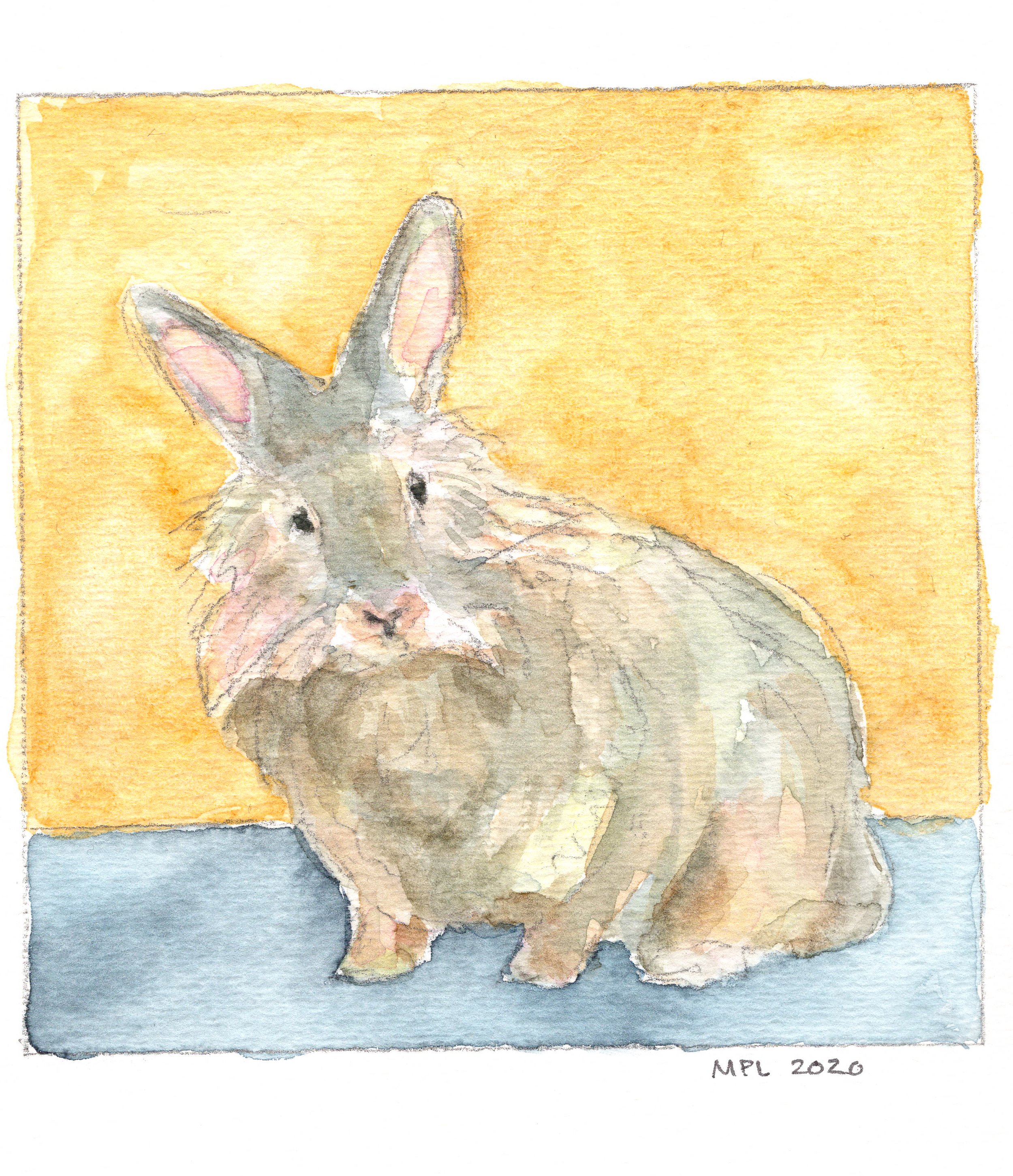 rabbit watercolor painting