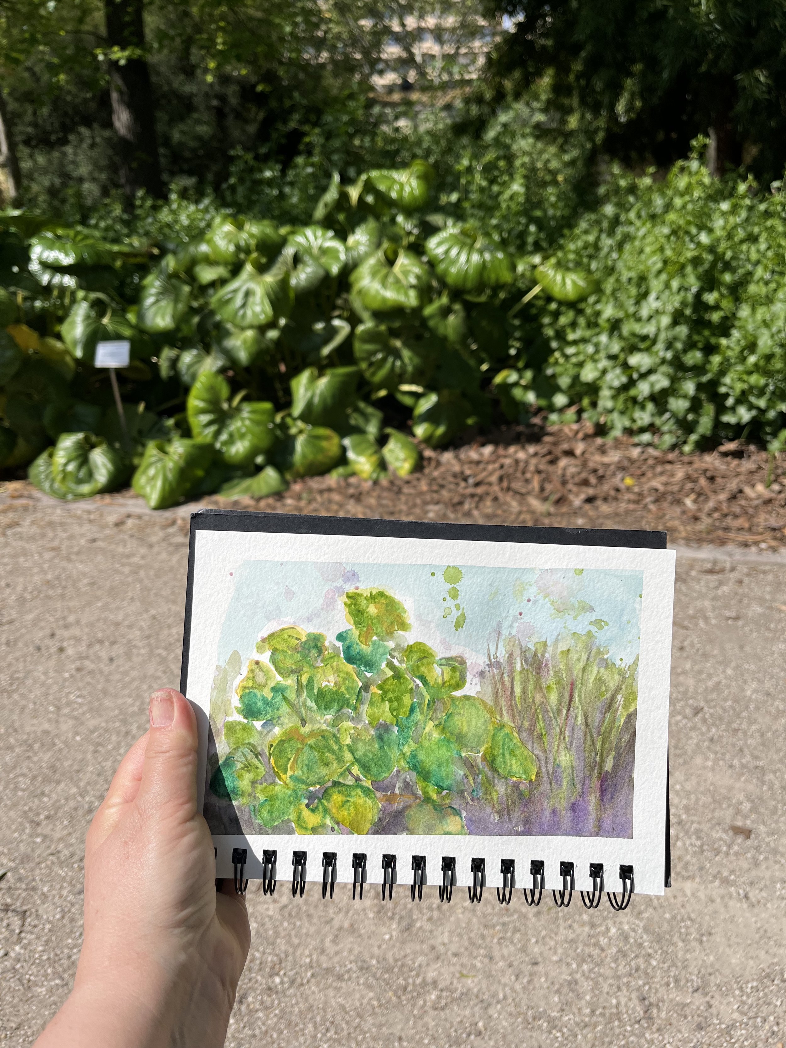 Painting at the Botanical Garden