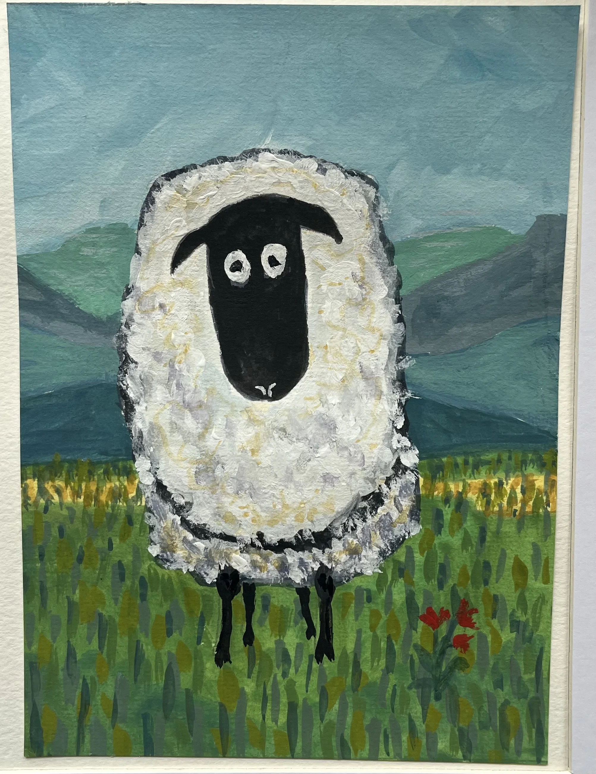 Silly Sheep