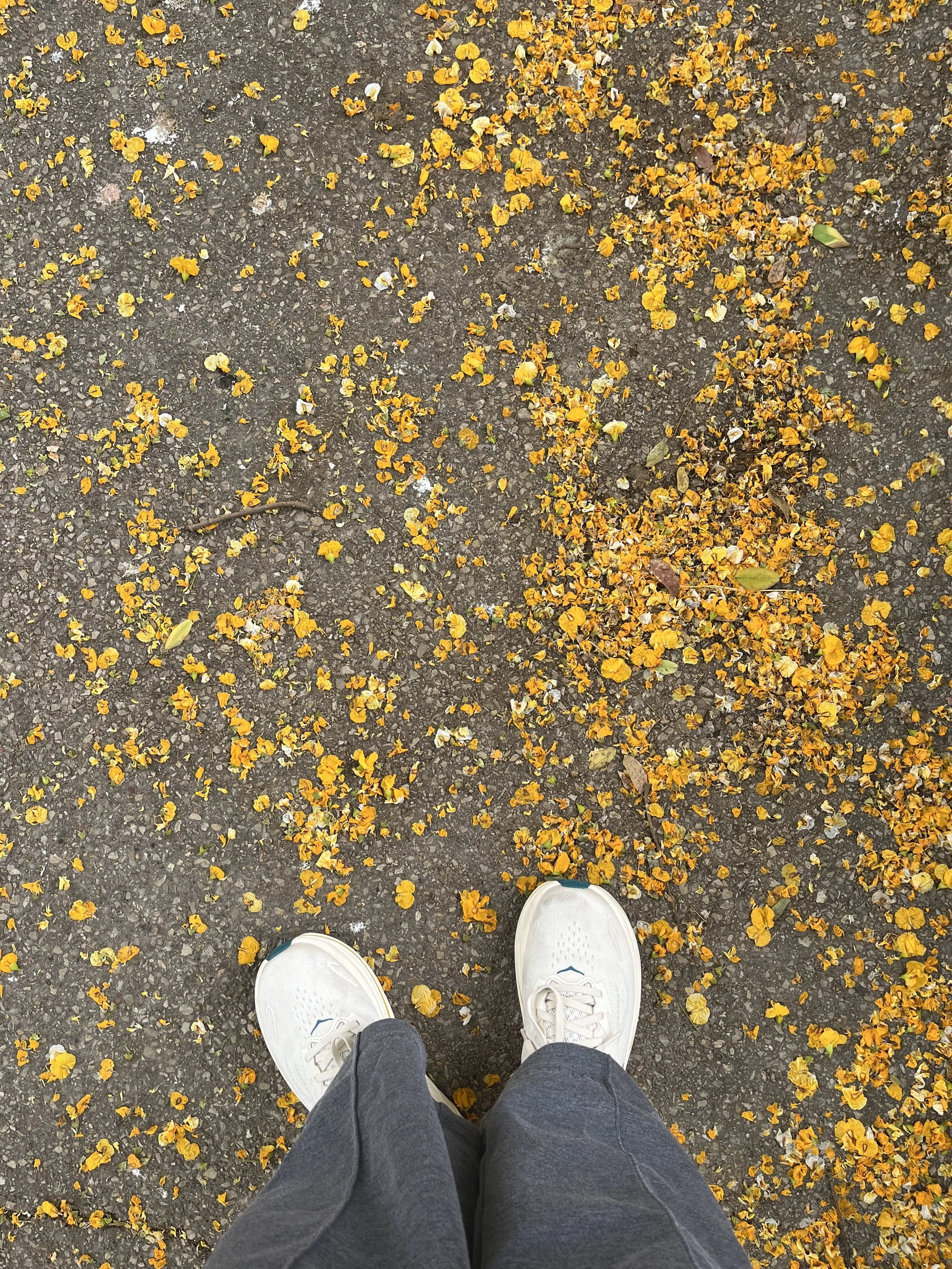 IMG_7104.jpeg