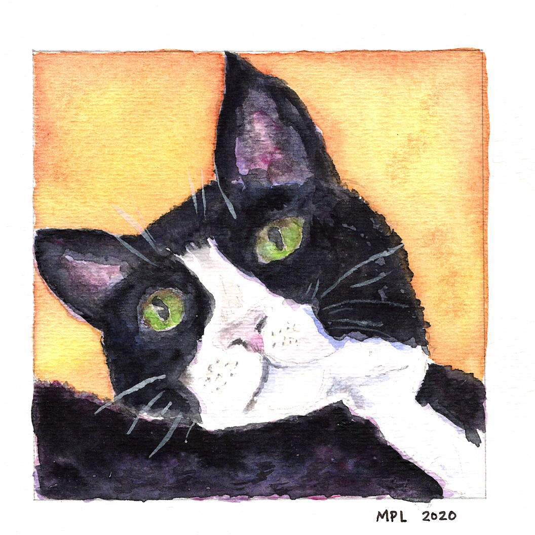 black cat portrait.png
