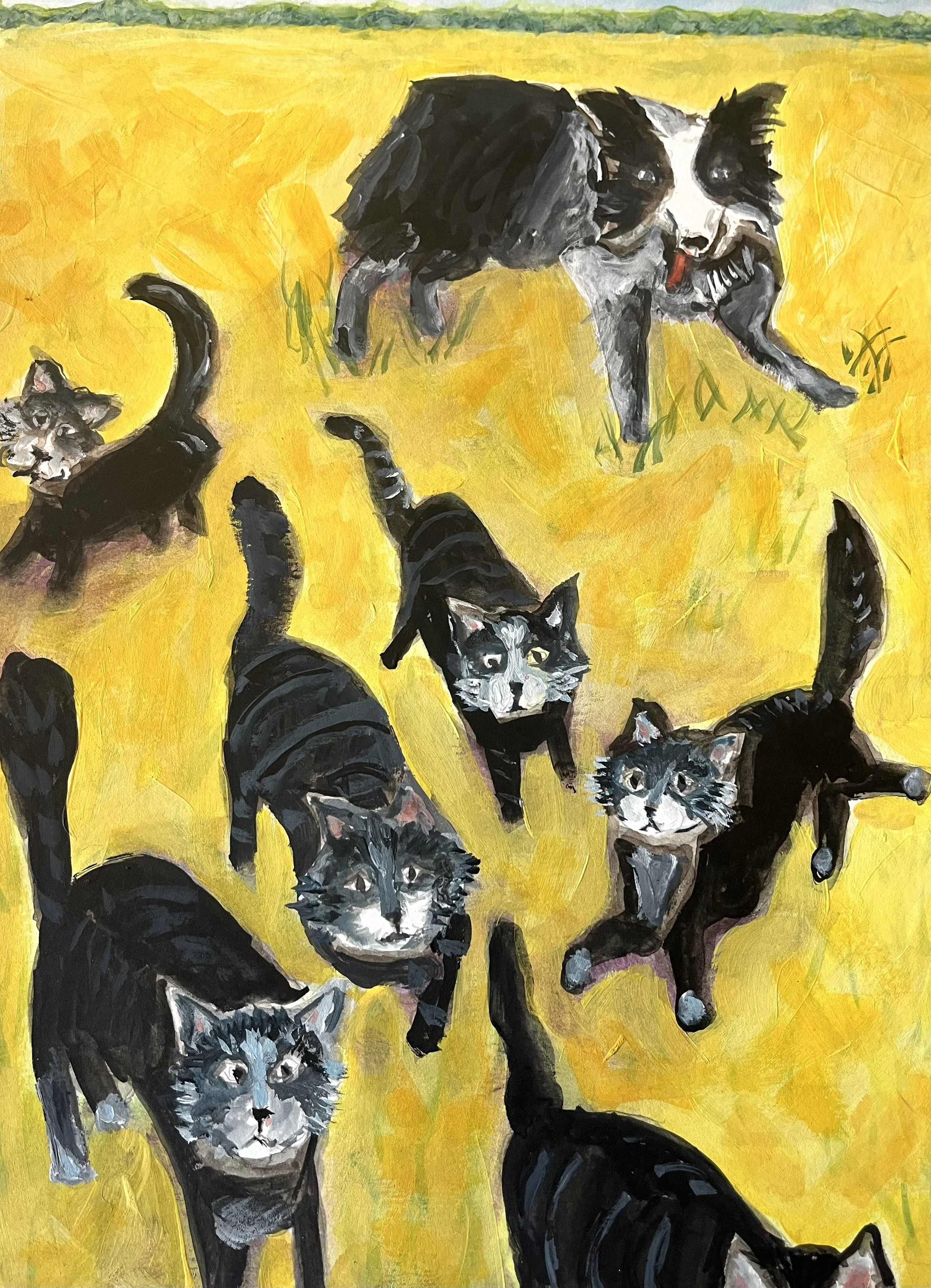 Cats or Dogs?…