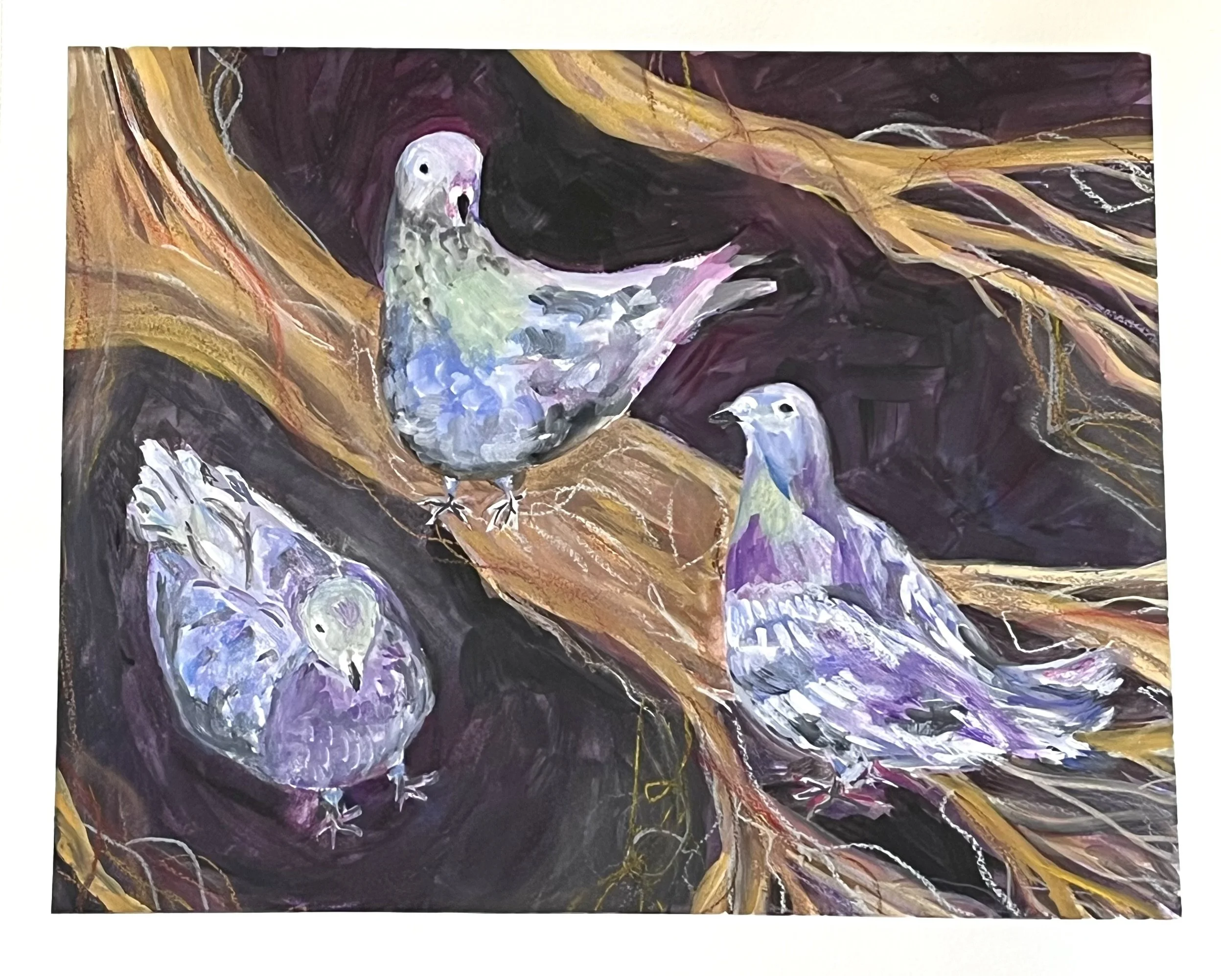 pigeons in acrylic and pastels