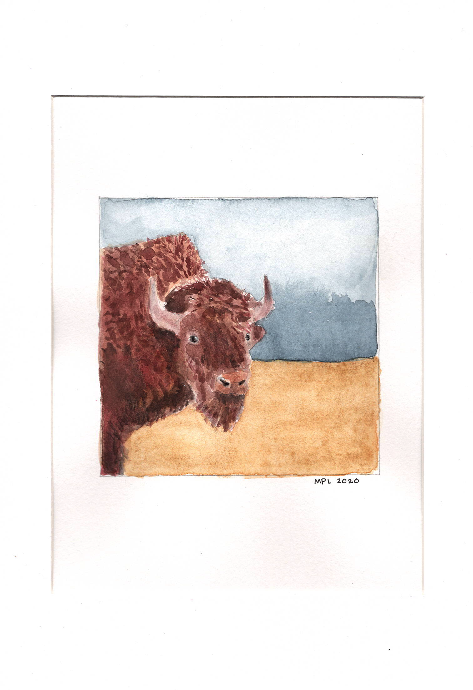 watercolor buffalo painting