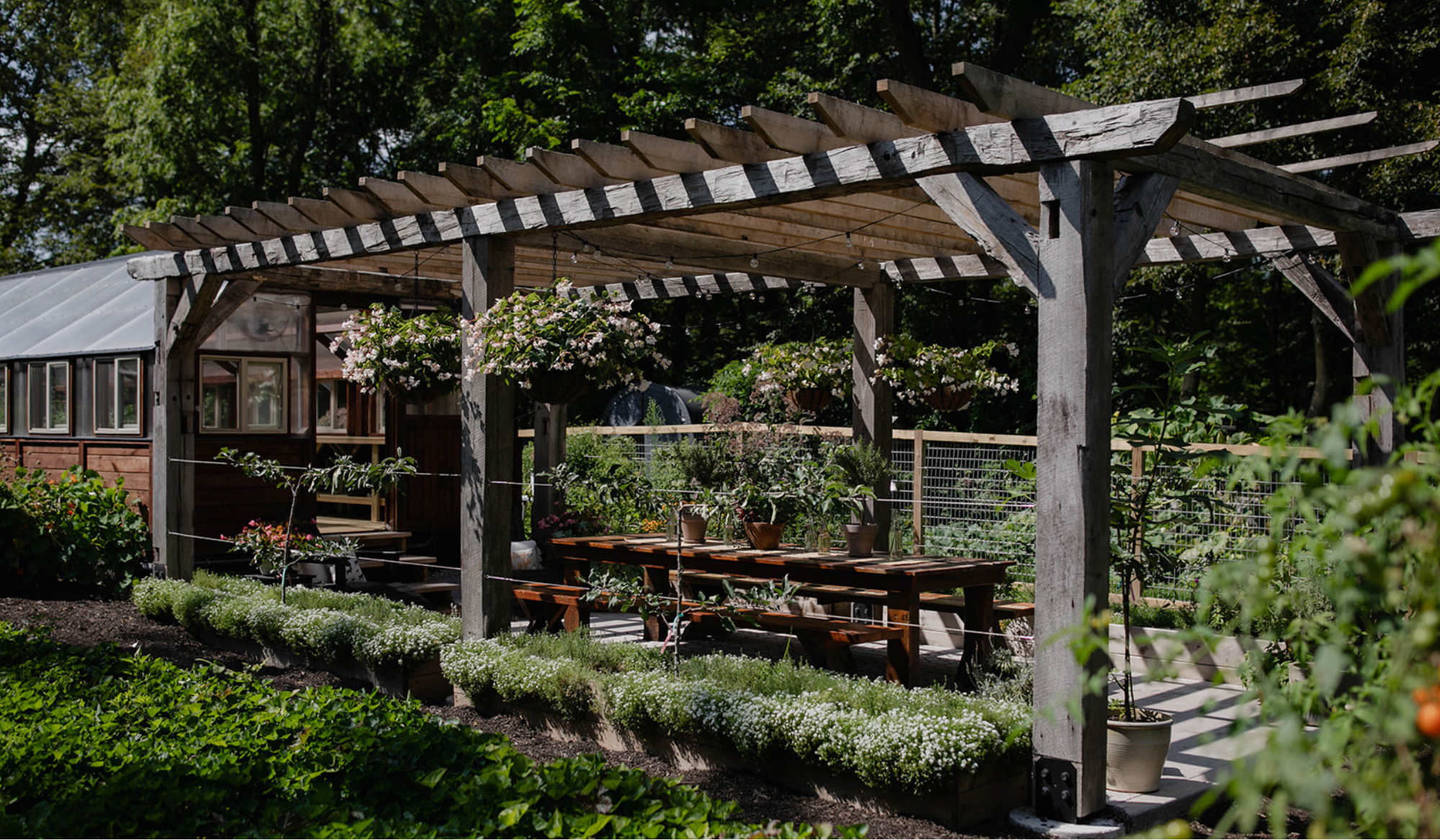 Reclaimed timber pergola built by Matt Oglesby, featuring hanging flower baskets, an outdoor dining table, and espaliered trees beside the greenhouse at The Edible Acre.