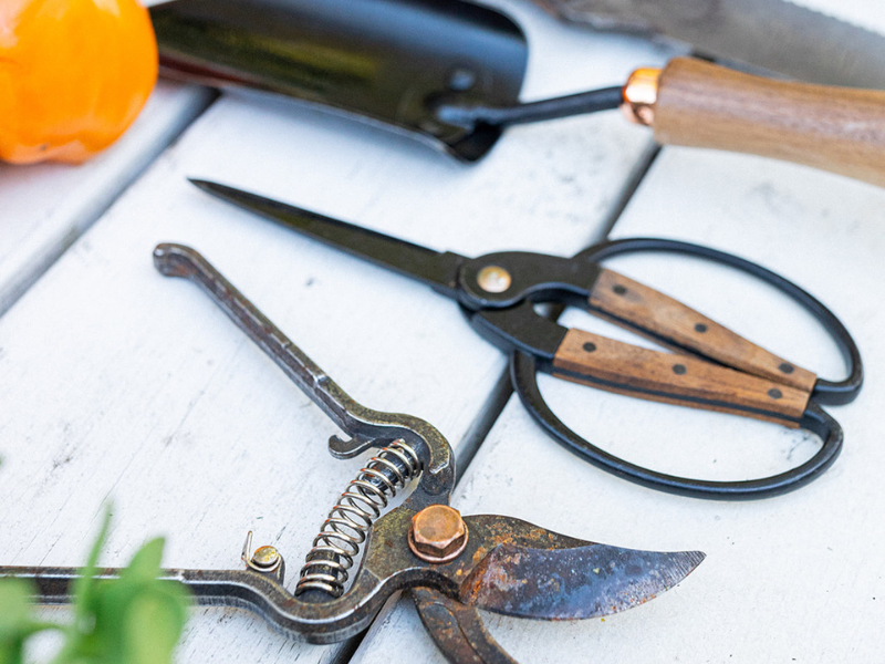 Your Fall Garden Clean-Up Checklist — Katie Oglesby, Kitchen Garden ...
