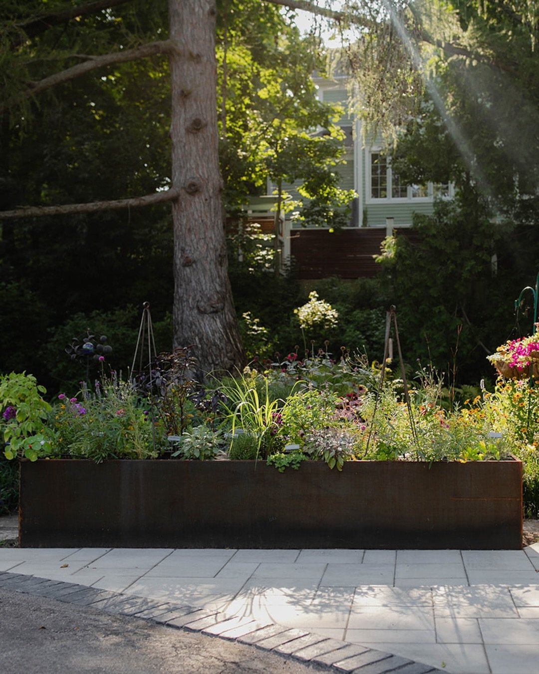 Kitchen gardens come in all shapes and sizes&mdash;the key is designing a space that flows, functions, and feeds you. 

For this client, we created a larger kitchen garden as the anchor, then thoughtfully added raised beds throughout the property to 