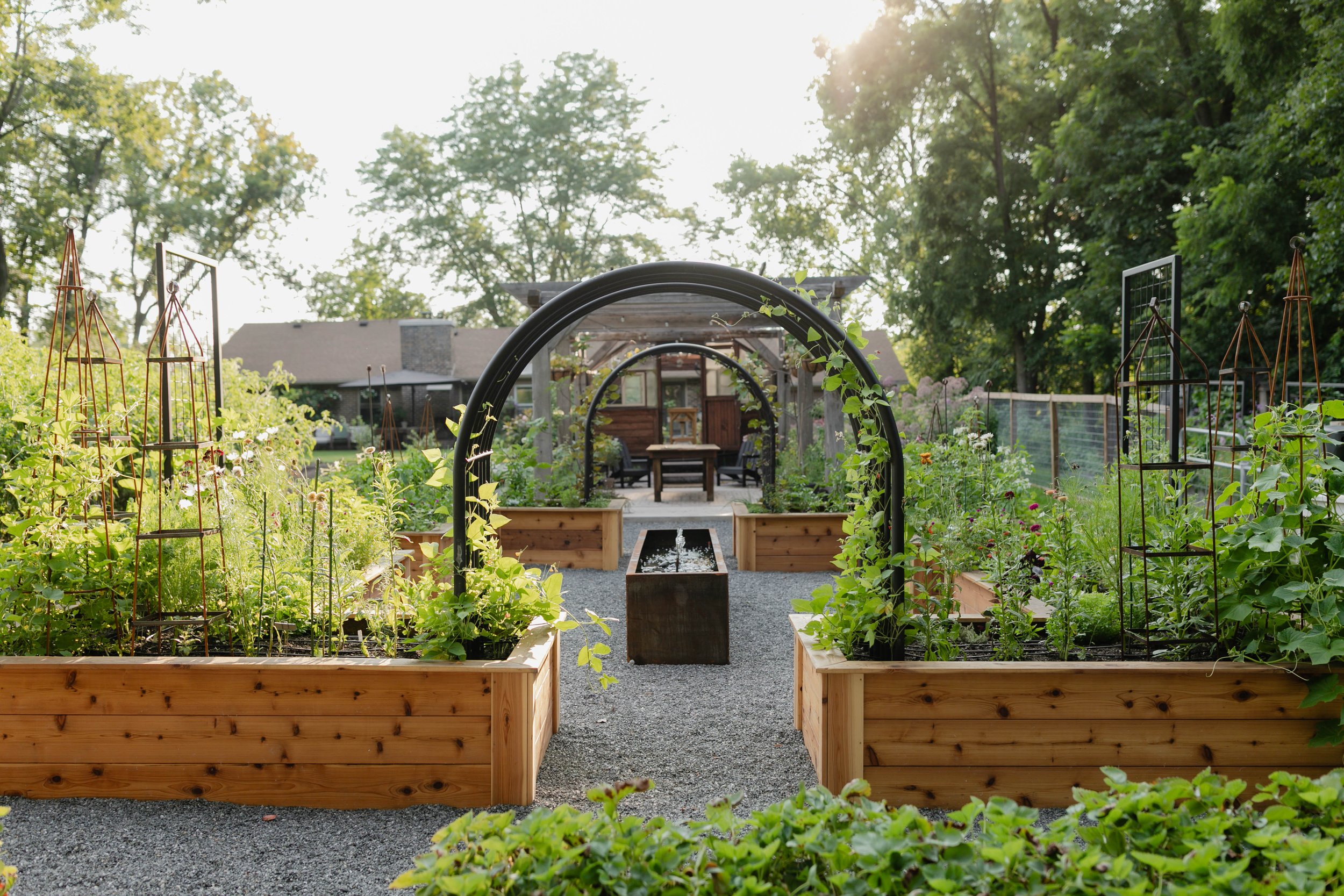 A Year of Growth: Reflections from Our Kitchen Garden 2025