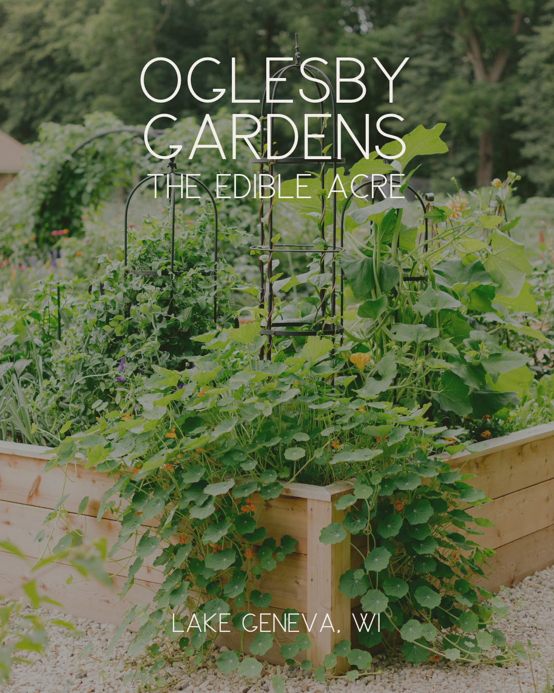 The Edible Acre is a one acre property in Lake Geneva Wisconsin where Katie Olgesby trials new plants and design experiments for Kitchen Garden Design House clients.