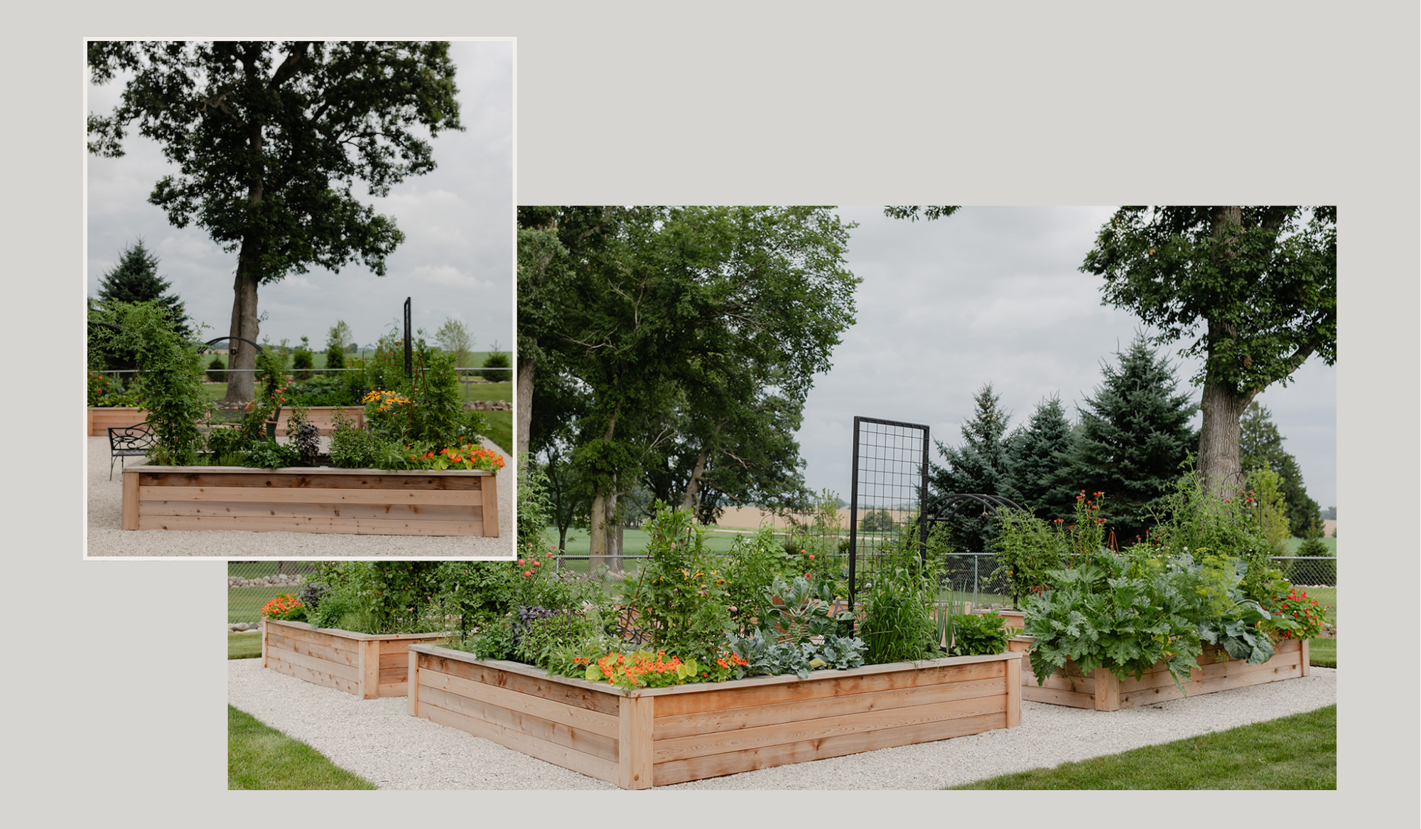 Cedar raised bed kitchen garden with custom made trellis on white limestone chip.