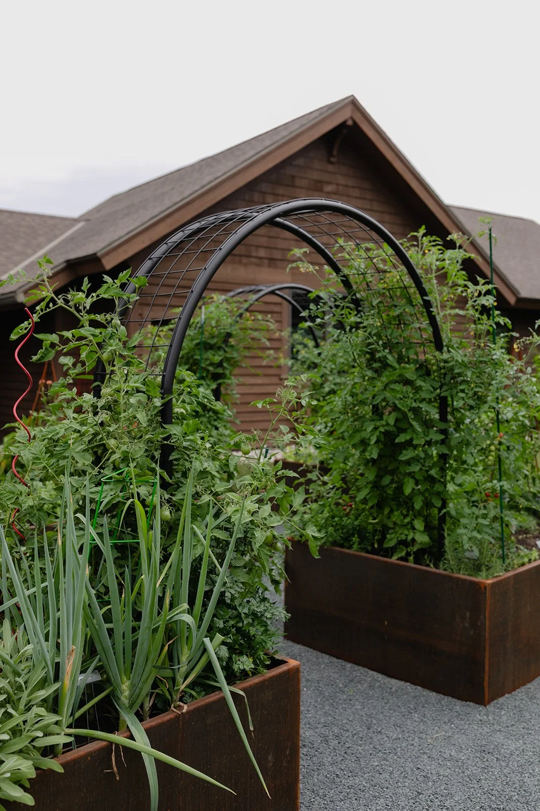 Double black arch trellises frame the pathway through the Archway Garden, surrounded by tomatoes, herbs, alliums, and corten steel raised beds.