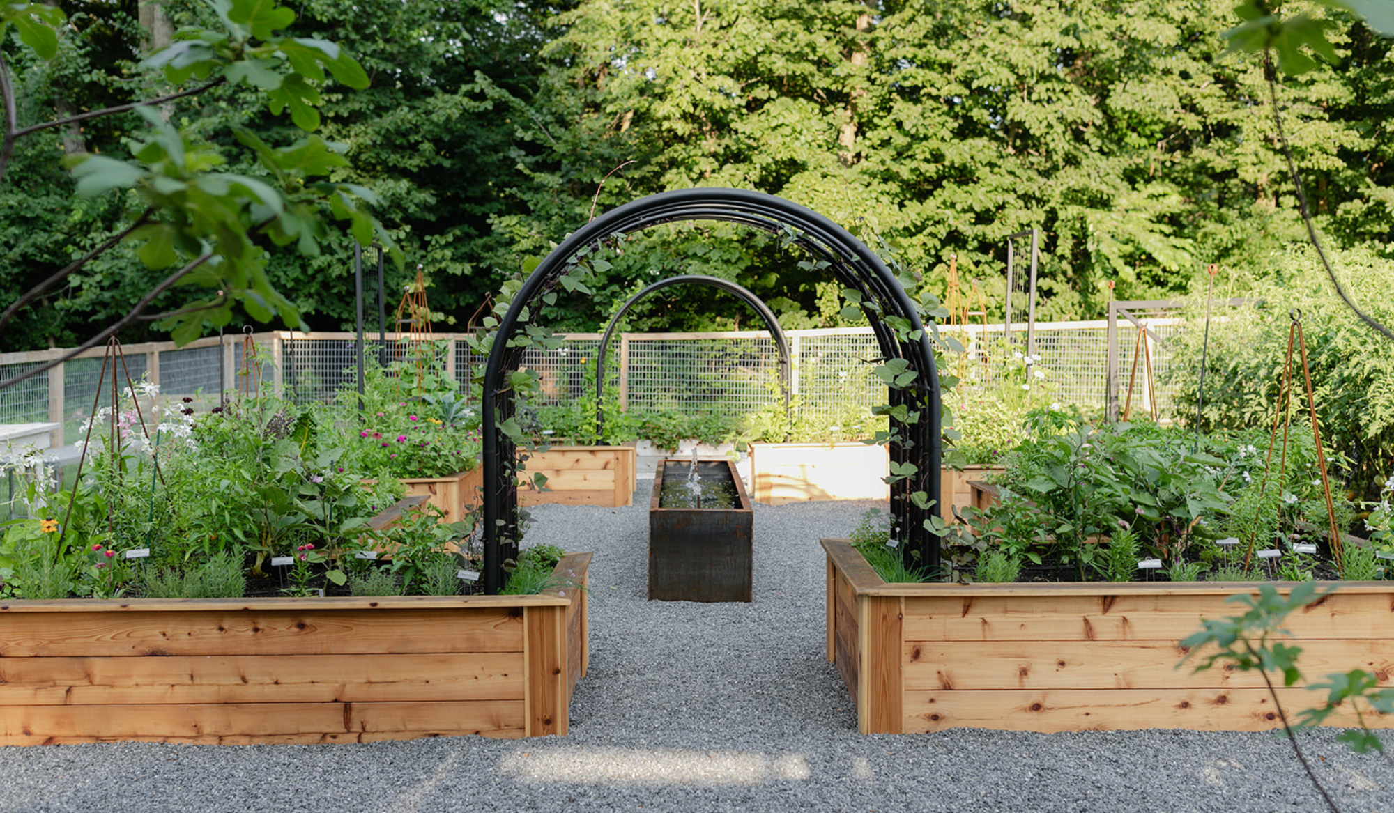 Symmetrical layout of the new kitchen garden, with cedar raised beds, custom black arch trellises, a central corten steel water feature, and gravel pathways.