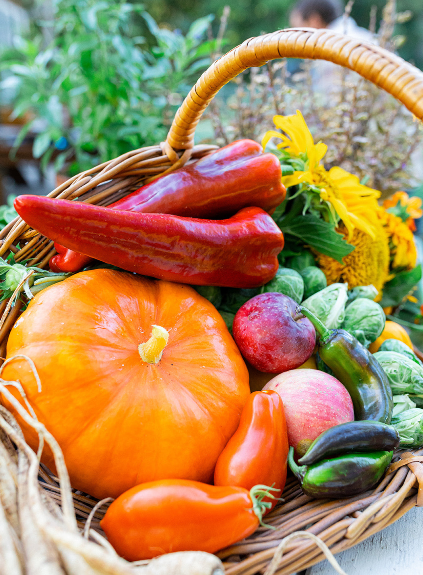 Garden to Table image 1.png