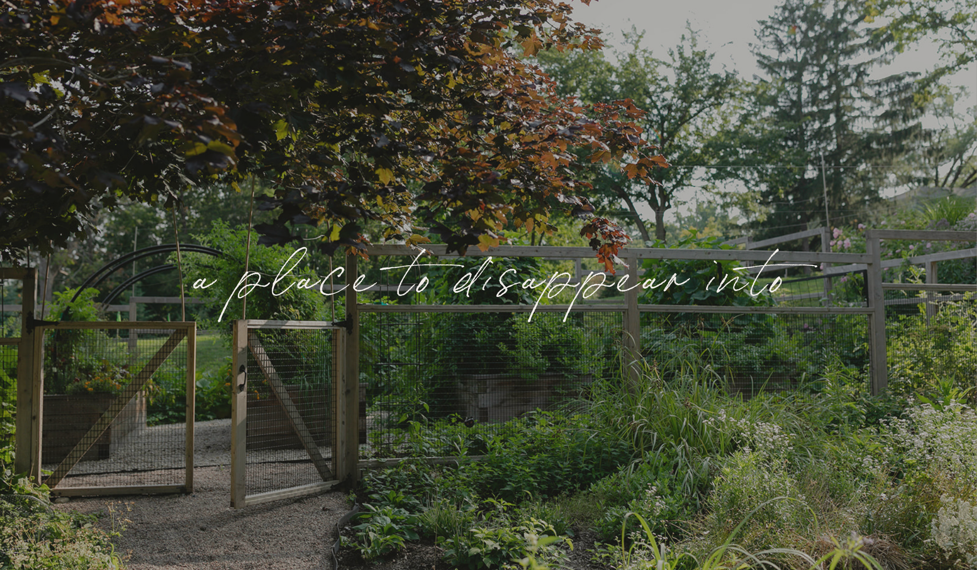Entrance to the enclosed Hideaway Garden beneath a mature maple tree, with the words “a place to disappear into.”