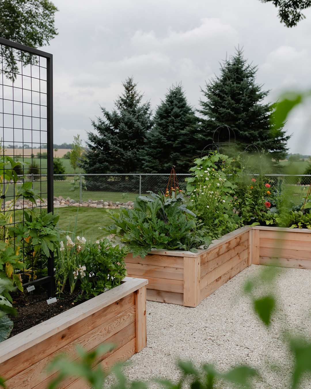 L-shaped cedar raised beds filled with vegetables and flowers alongside custom black trellises and gravel pathways at LaRocque Farms.