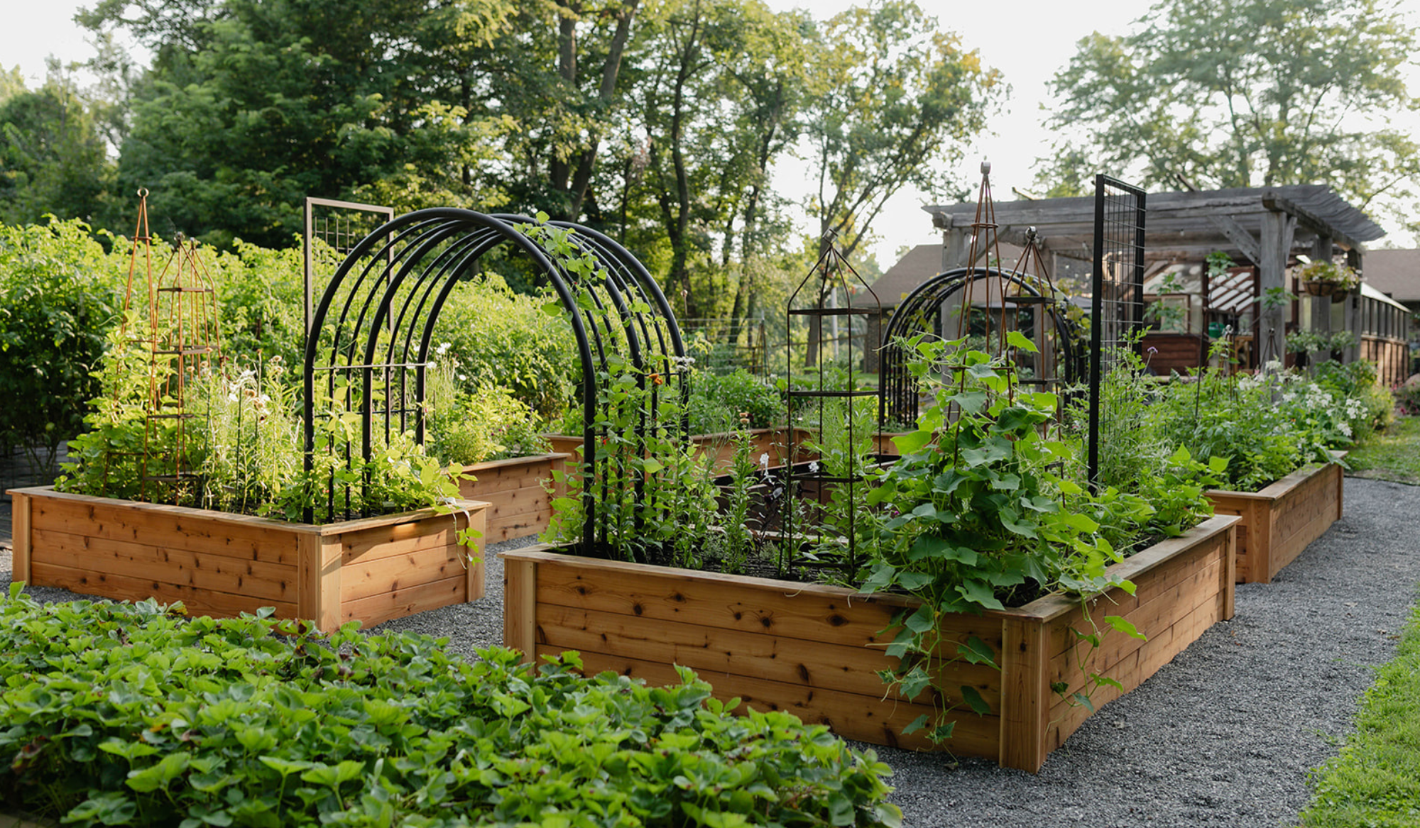 Cedar raised beds filled with vegetables and flowers, featuring custom black arch trellises, rust-colored obelisks, and a pergola in the background.