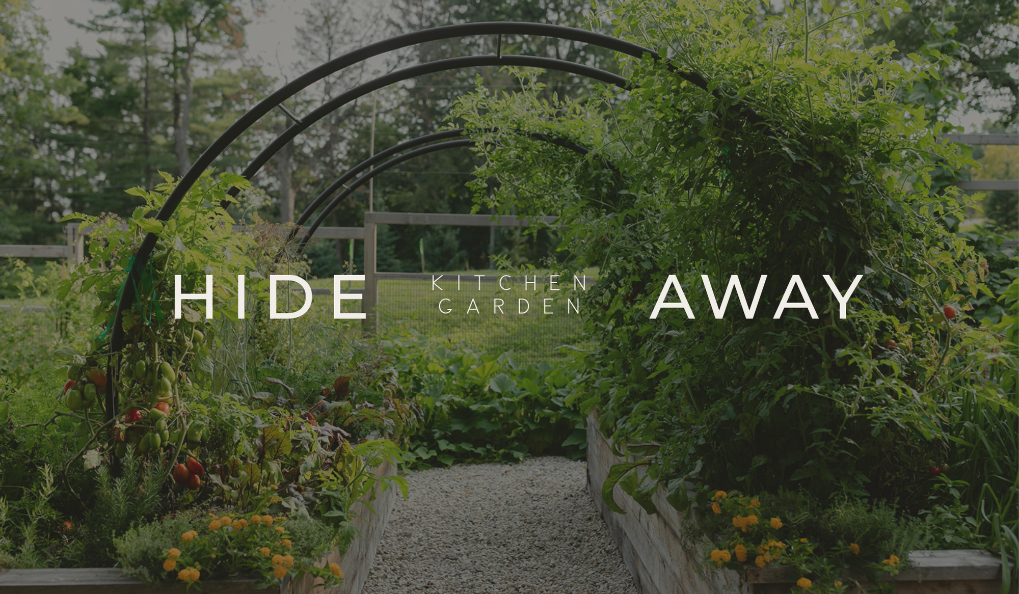 The Hideaway Garden with custom black arch trellises over overflowing cedar raised beds filled with tomatoes, herbs, flowers, and vegetables.