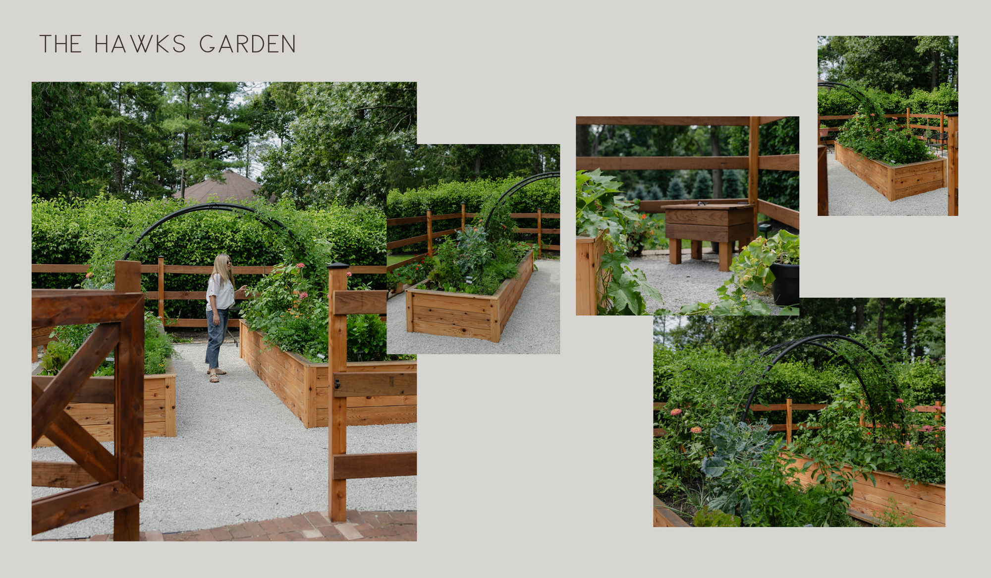 The Hawks Garden collage featuring cedar raised beds, abundant vegetables, a custom arch trellis, built-in garden features, and enclosed growing space.