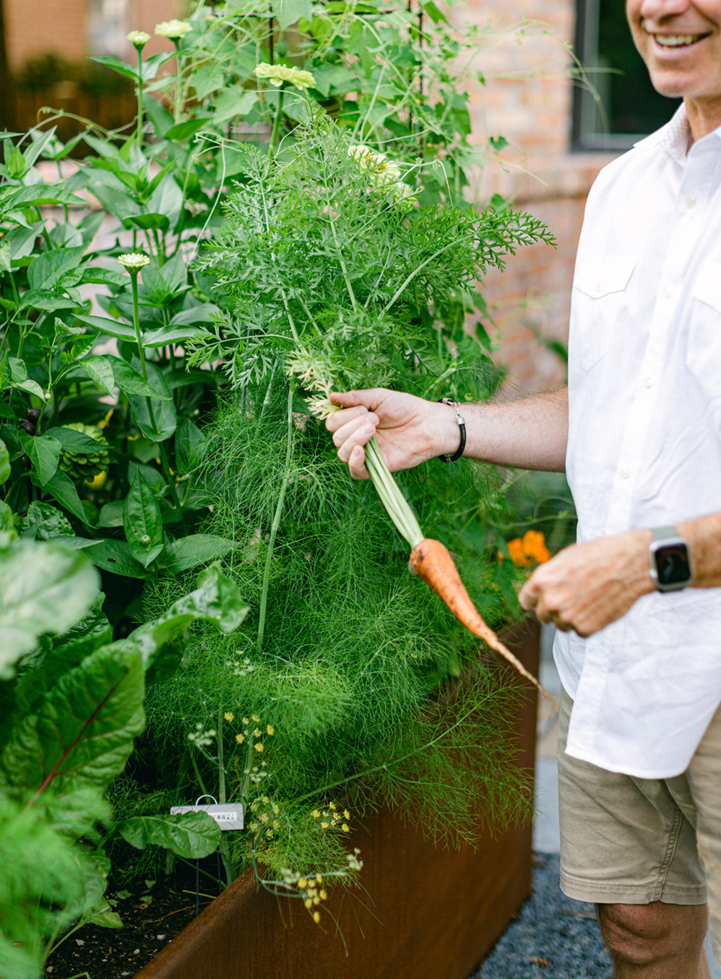 Garden to Table image 2.png