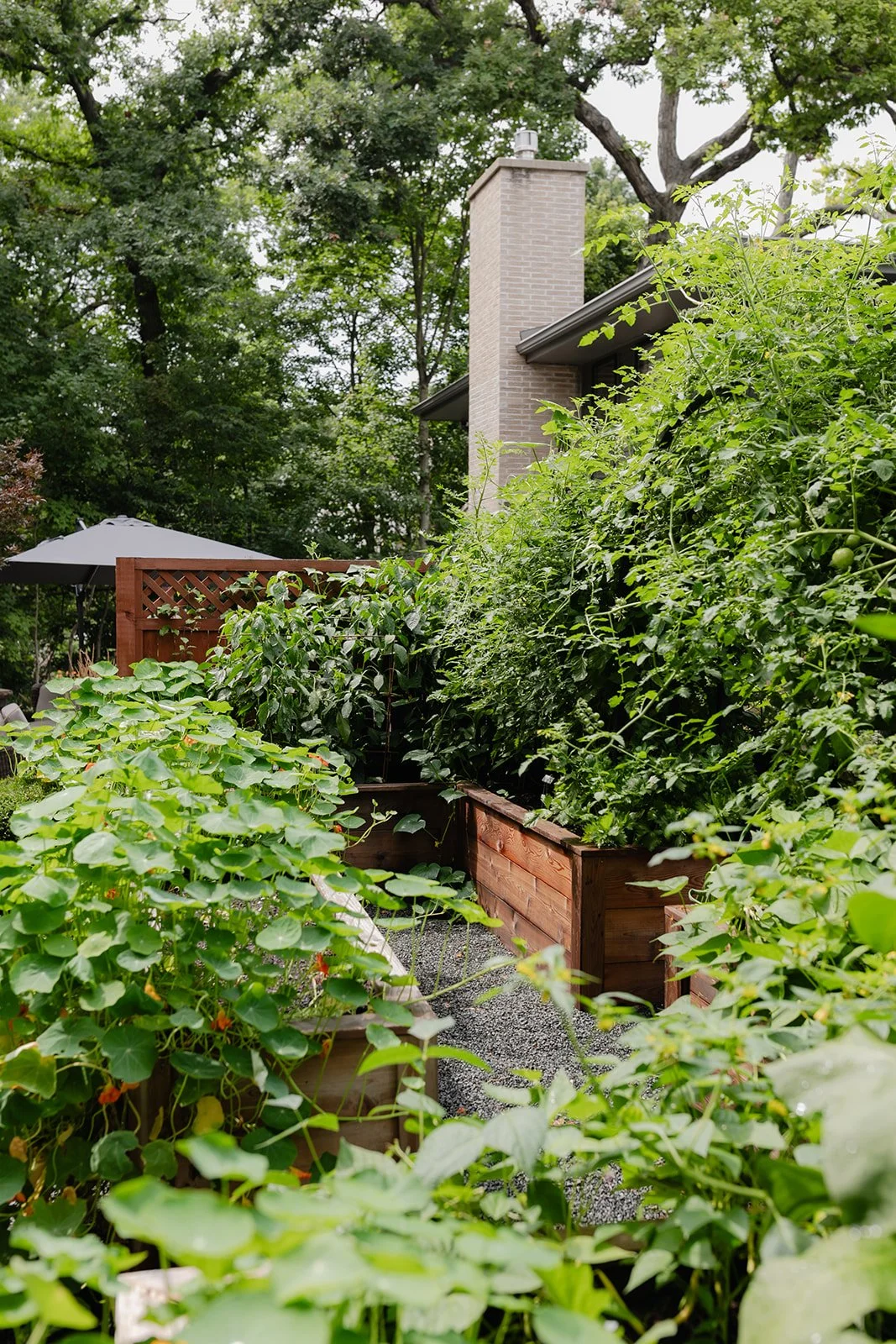 Custom cedar raised bed kitchen garden beside a gray home in Lake Geneva, Wisconsin.