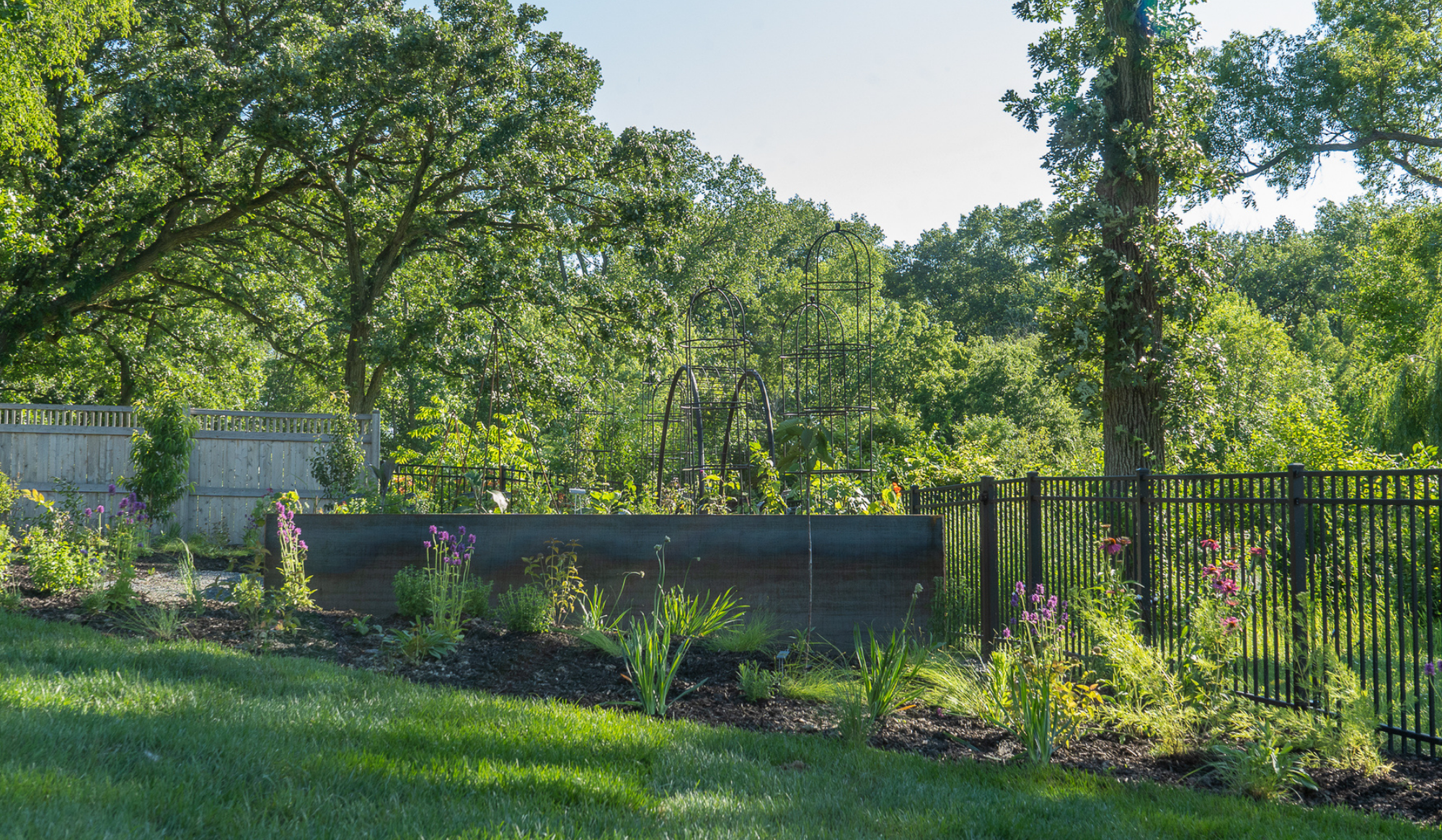 Side view of garden with Corten Steel raised beds custom cut on an angle to accommodate the grade and pitch of the property.