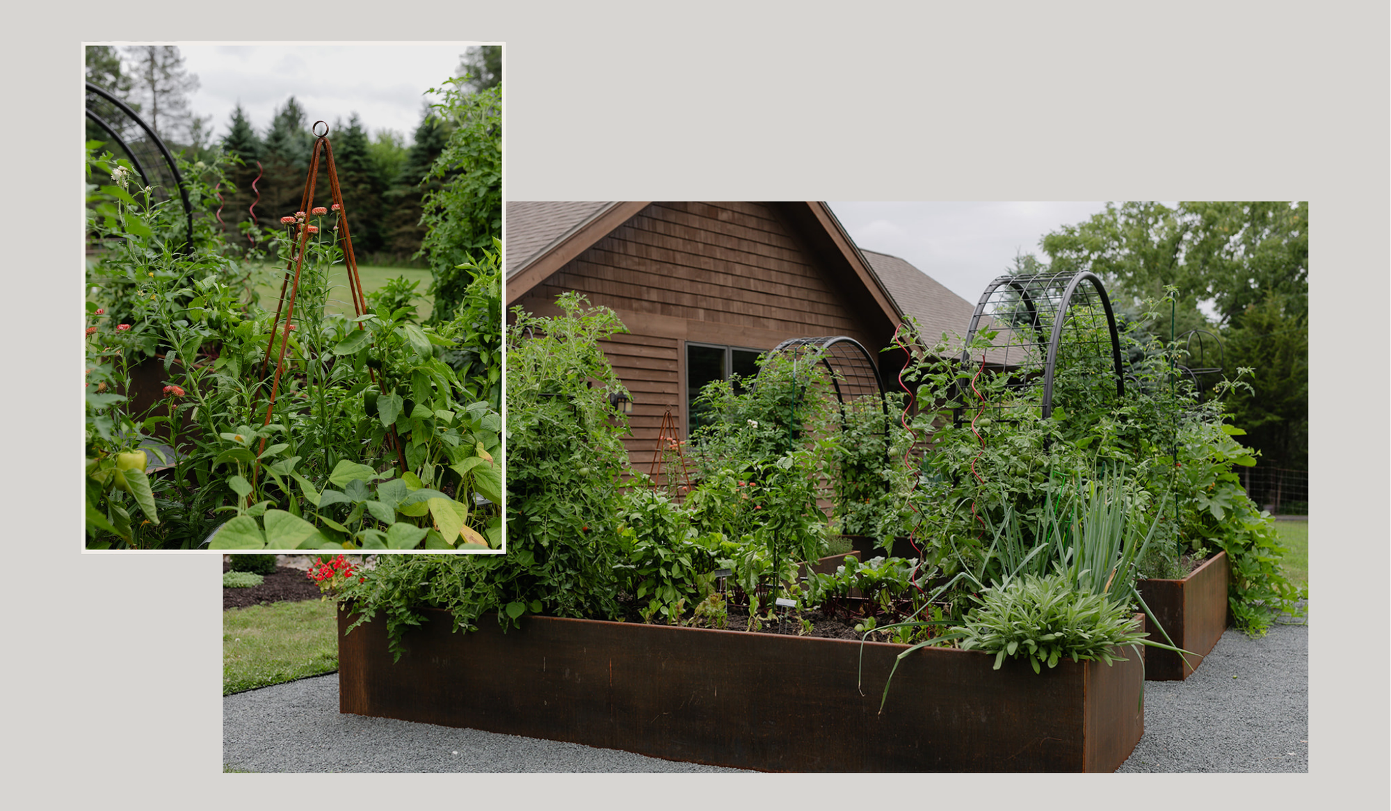 Kitchen garden collage featuring vegetables, black metal trellises, corten steel raised beds, and an abundant summer harvest.