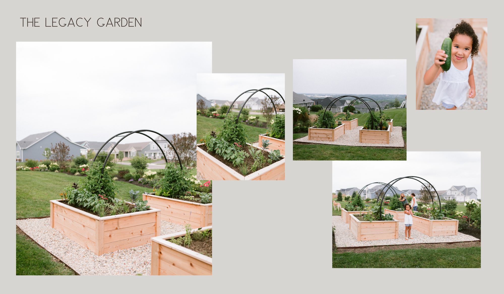 The Legacy Garden collage featuring four cedar raised beds, custom double arch trellises, abundant vegetables, and three generations enjoying the Lake Geneva kitchen garden.