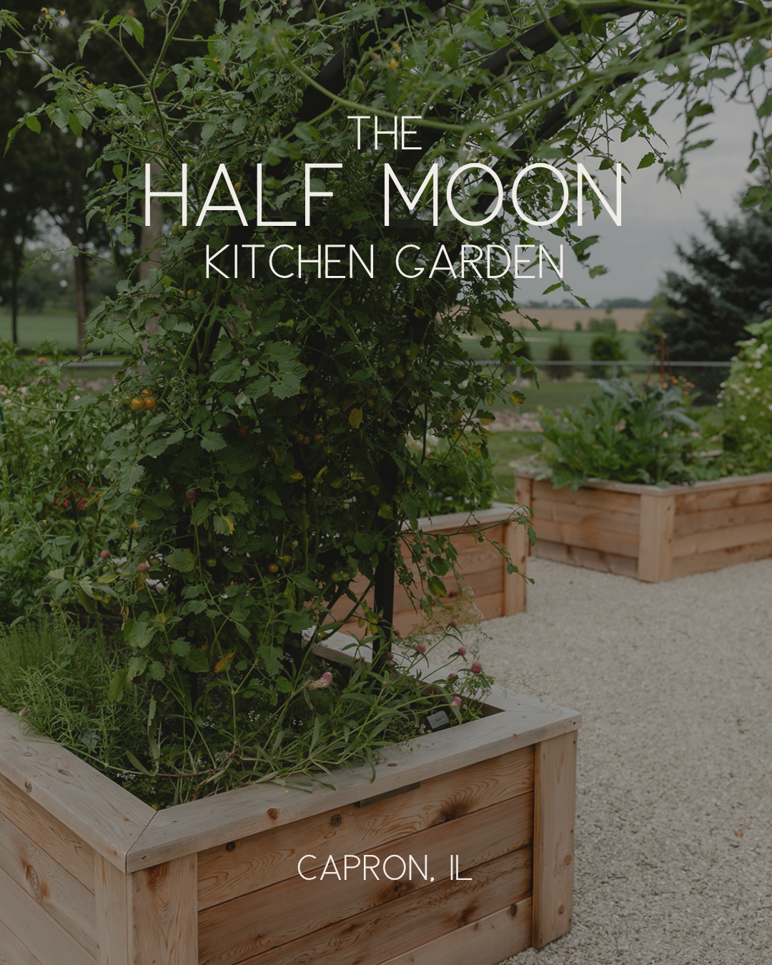 The Half Moon Kitchen Garden in Capron, Illinois, with cedar raised beds, white limestone pathways, and a custom arch trellis covered in tomatoes.