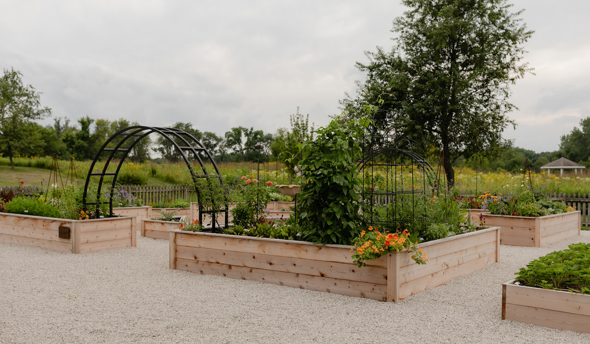 Cedar raised beds filled with vegetables, herbs, and flowers beneath custom black trellises at LaRocque Farms.