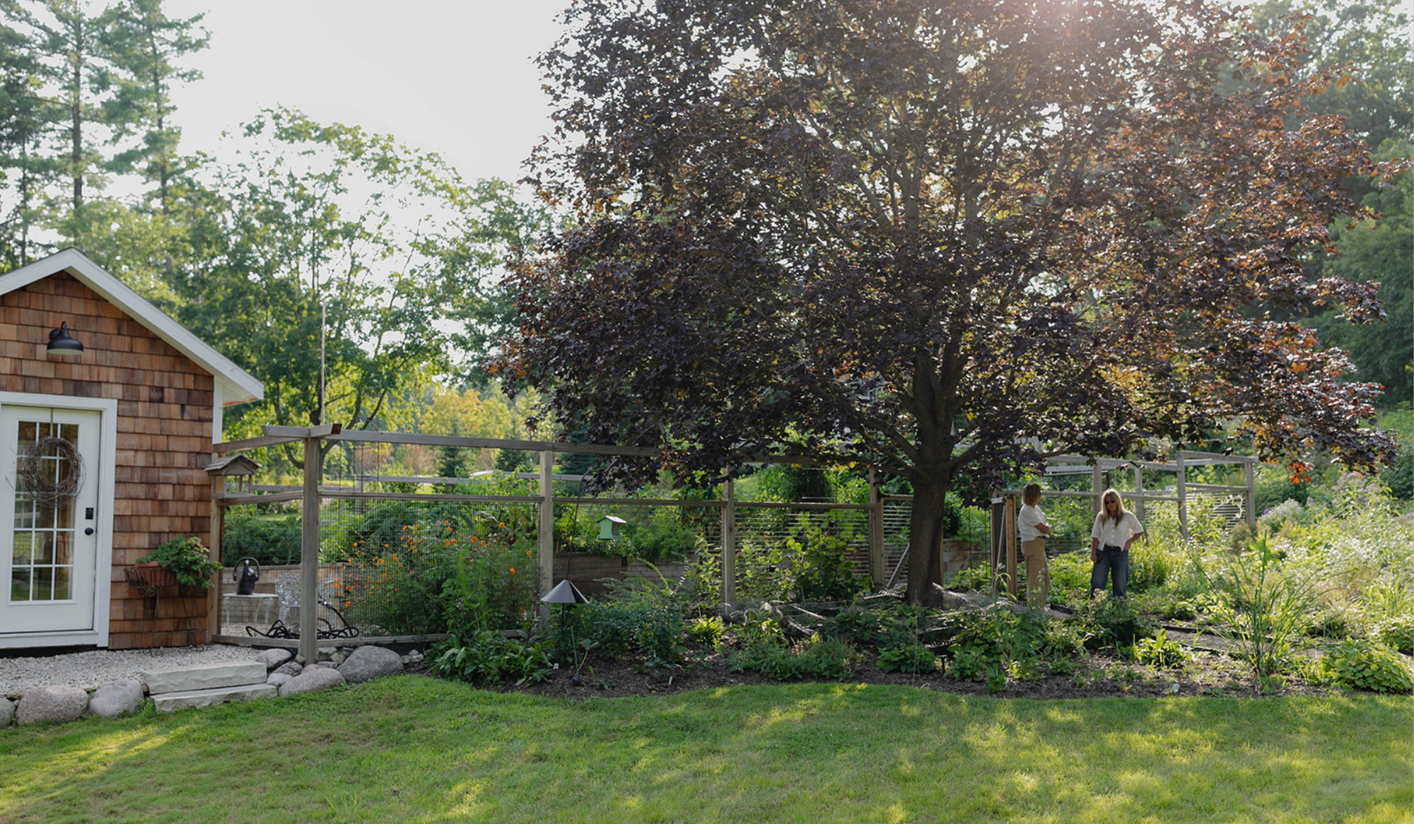 Wide view of The Hideaway Garden showing the warm wood garden shed, enclosed growing area, mature maple tree, and surrounding landscape.