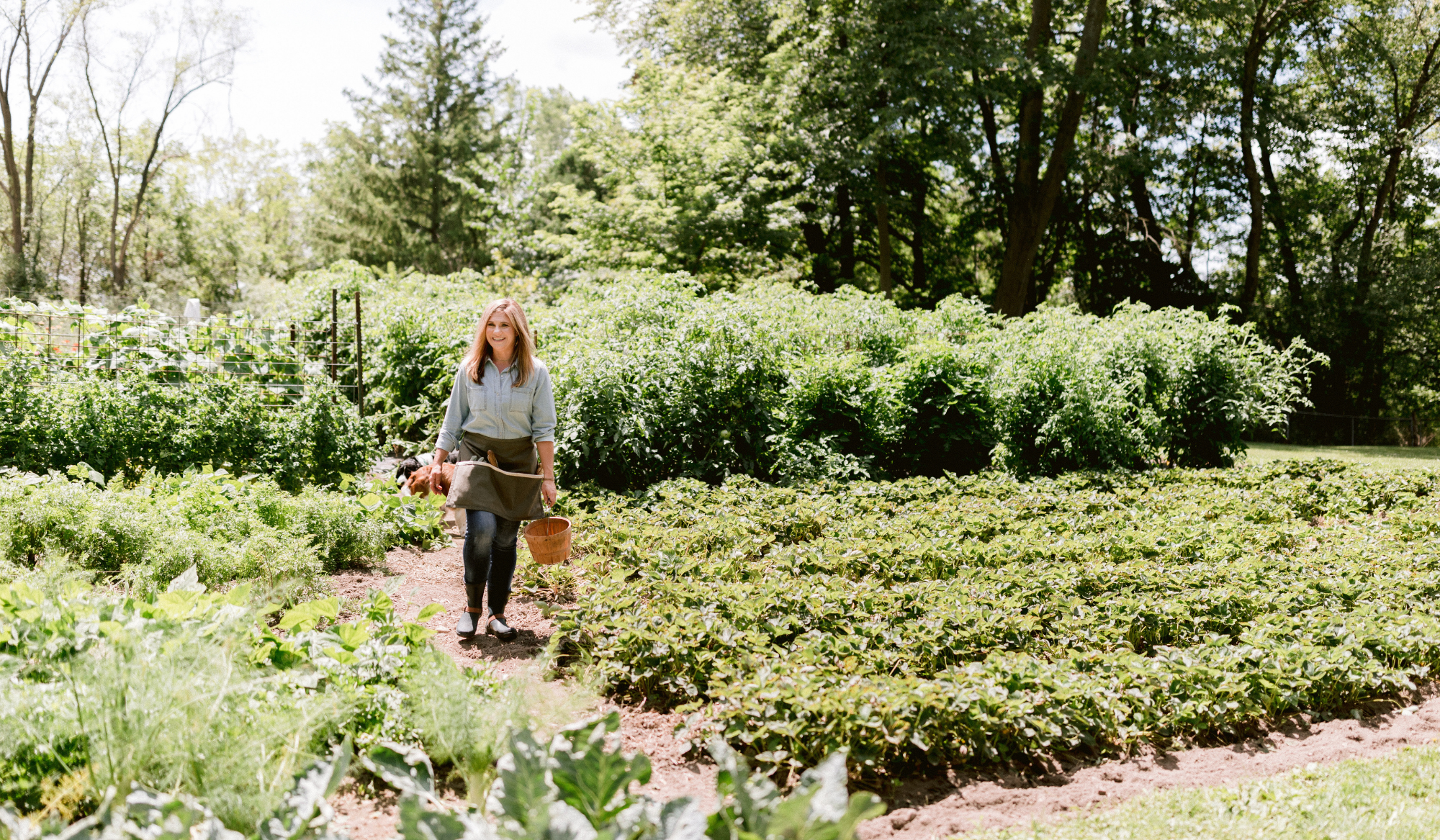 Katie Oglesby walking through the expansive in-ground vegetable and strawberry gardens at The Edible Acre.