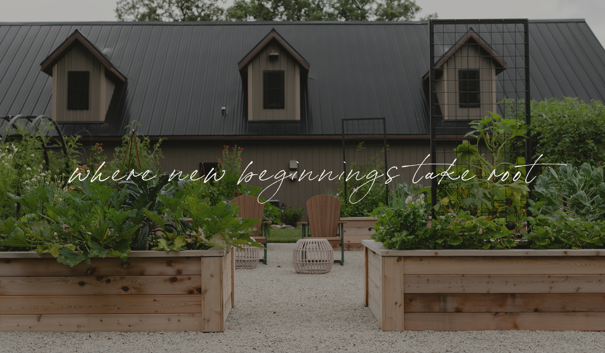 Cedar raised bed kitchen garden with custom made trellis on white limestone chip. Overlay text says "Where new beginnings take root"