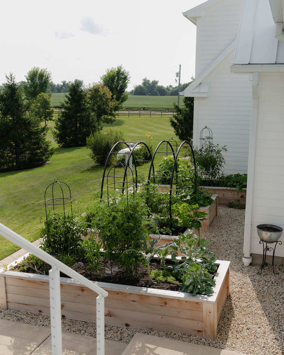 Four-bed cedar kitchen garden with black arch and obelisk trellises beside a restored family farmhouse in Harvard, Illinois.
