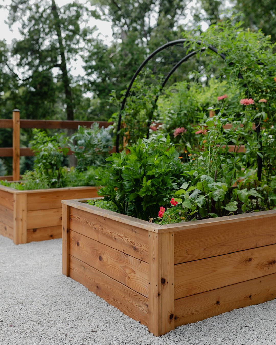 Cedar raised beds overflowing with vegetables, herbs, and flowers beneath a custom black arch trellis in The Hawks Garden.